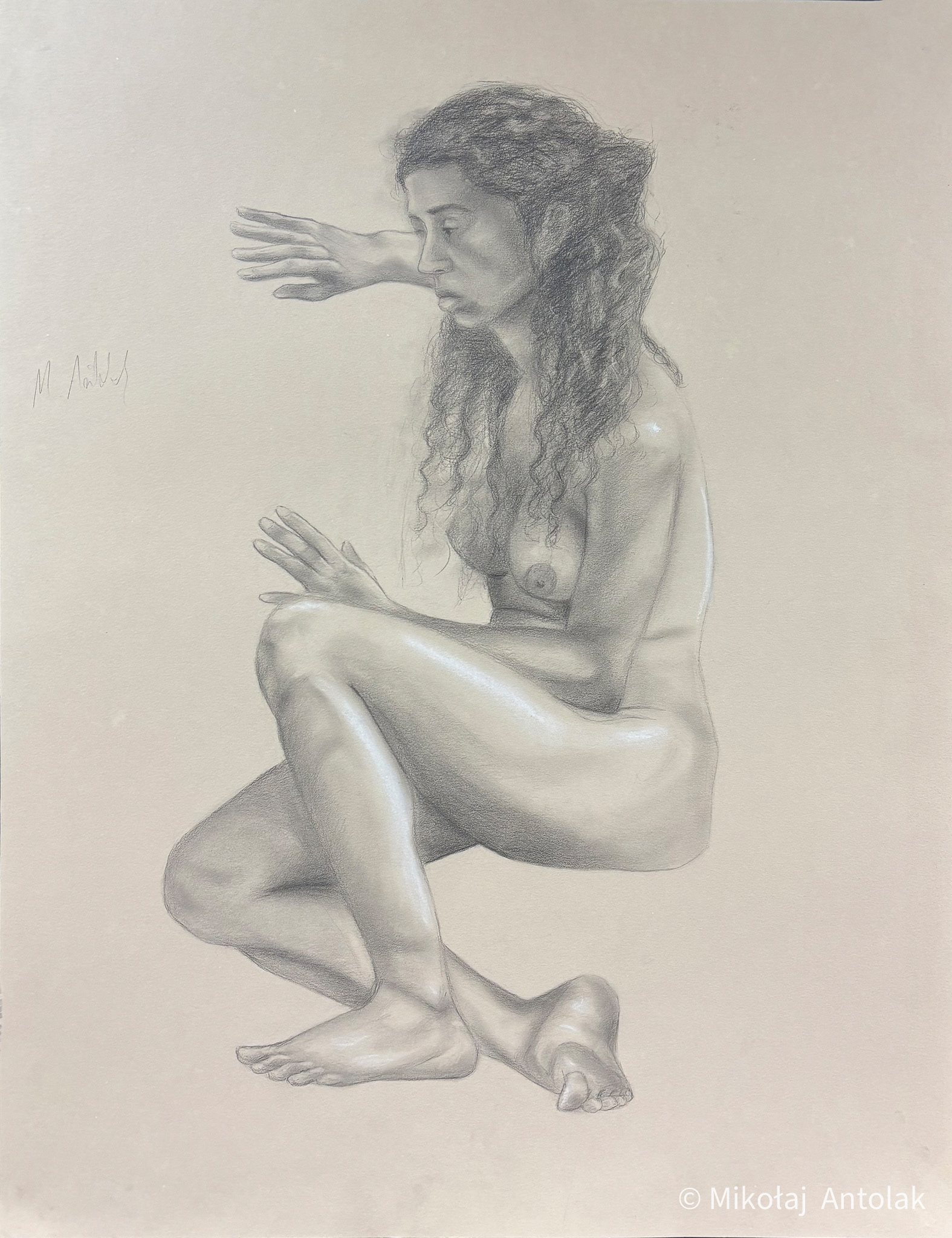 (50x65)