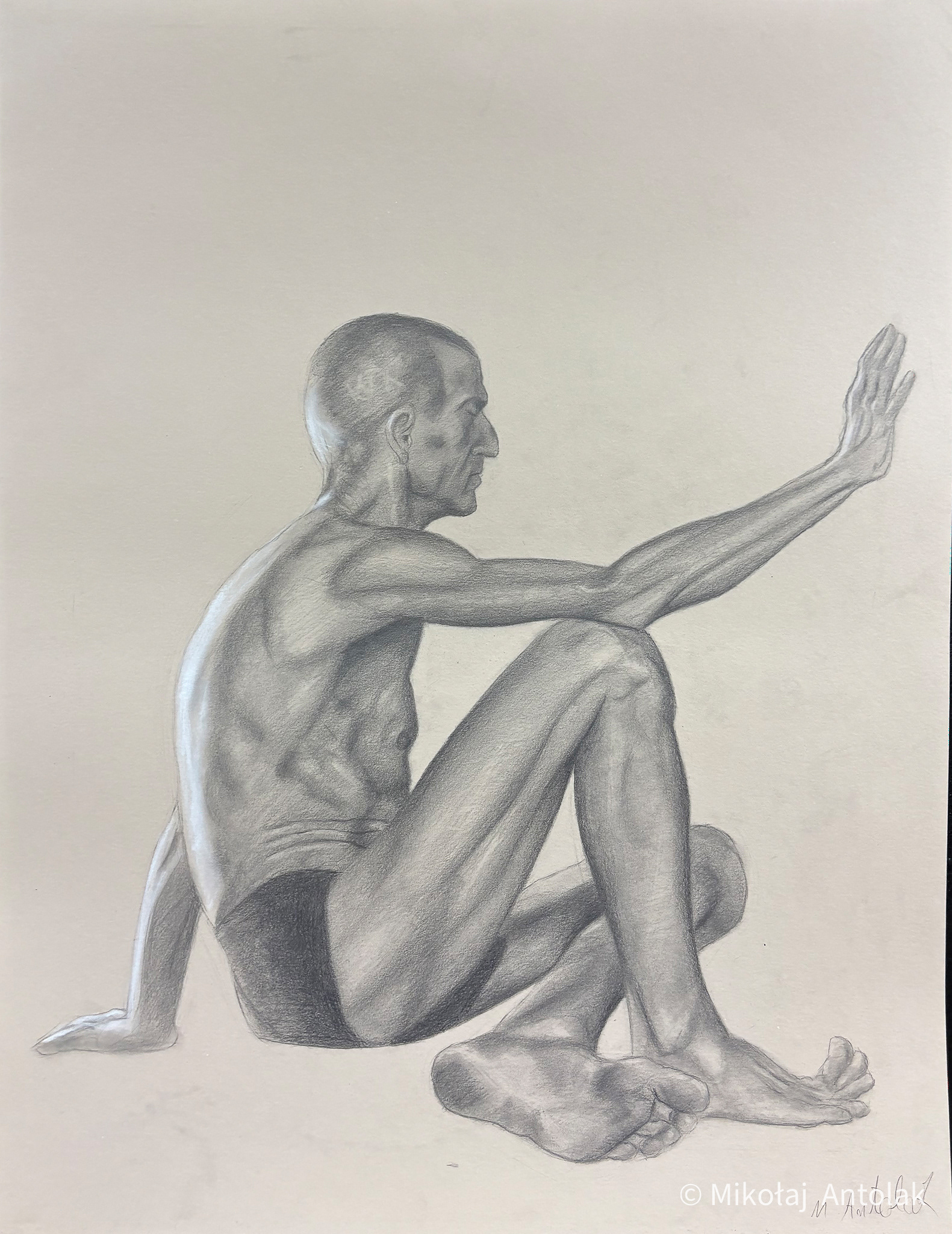(50x65)