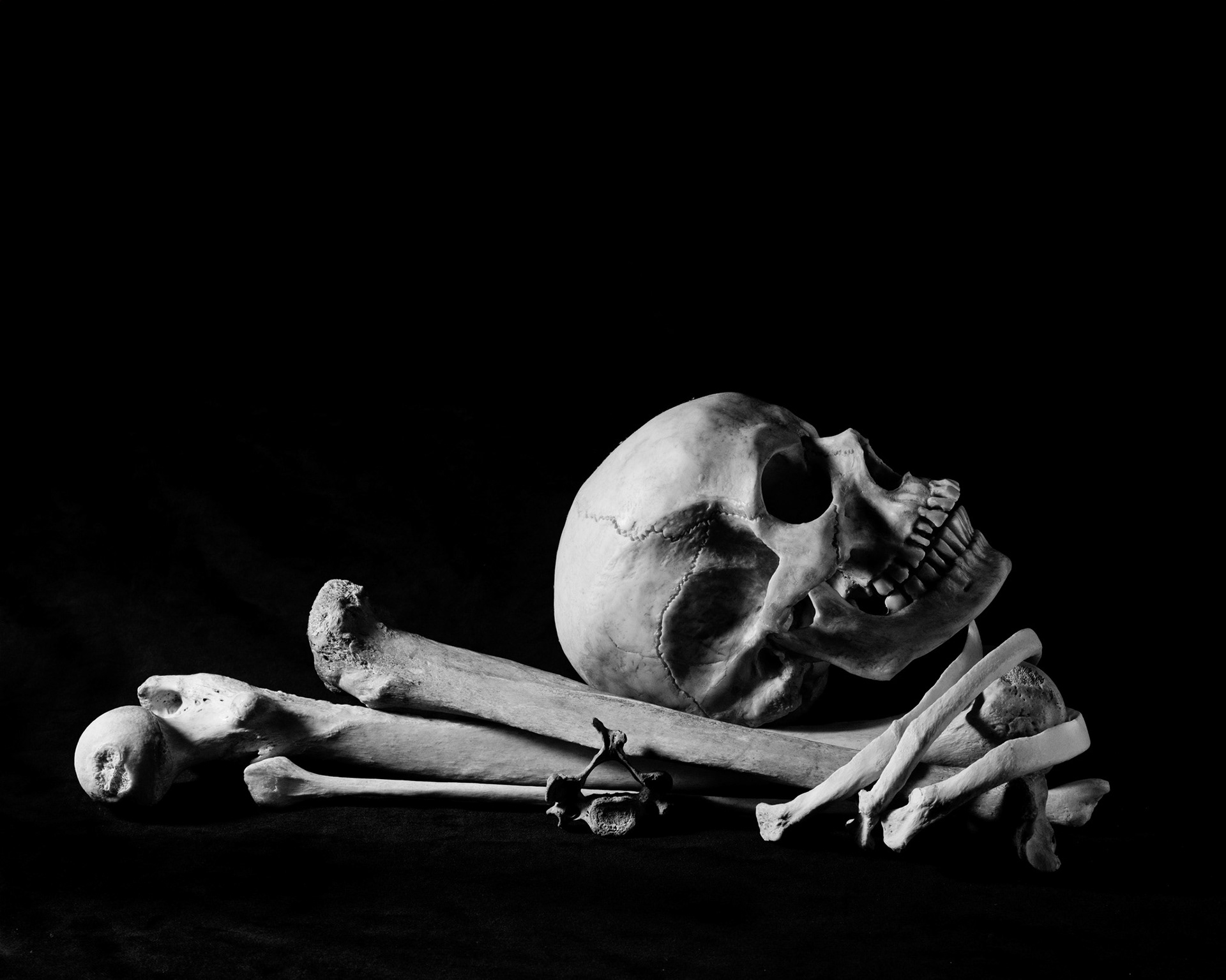 Skull nd Bones