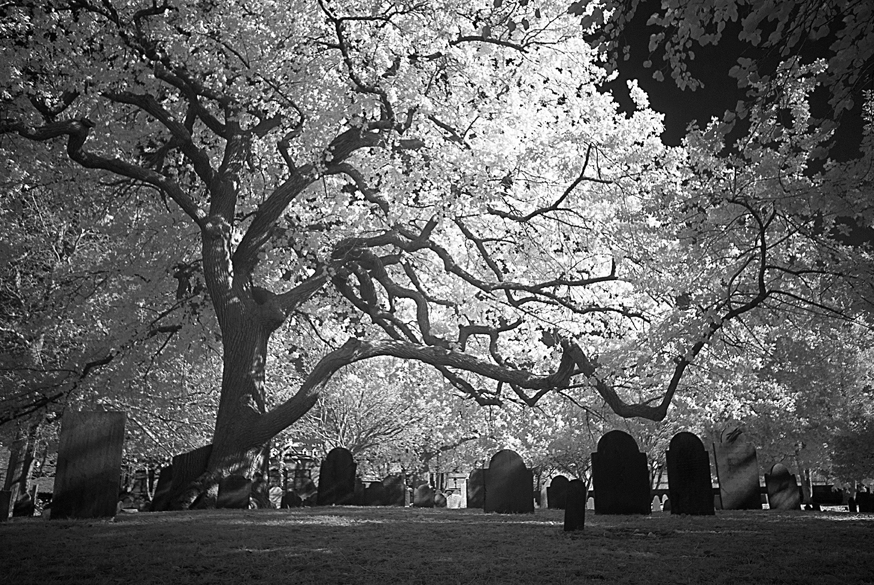 Old Burying Point, Salem MA. Infrared Photography