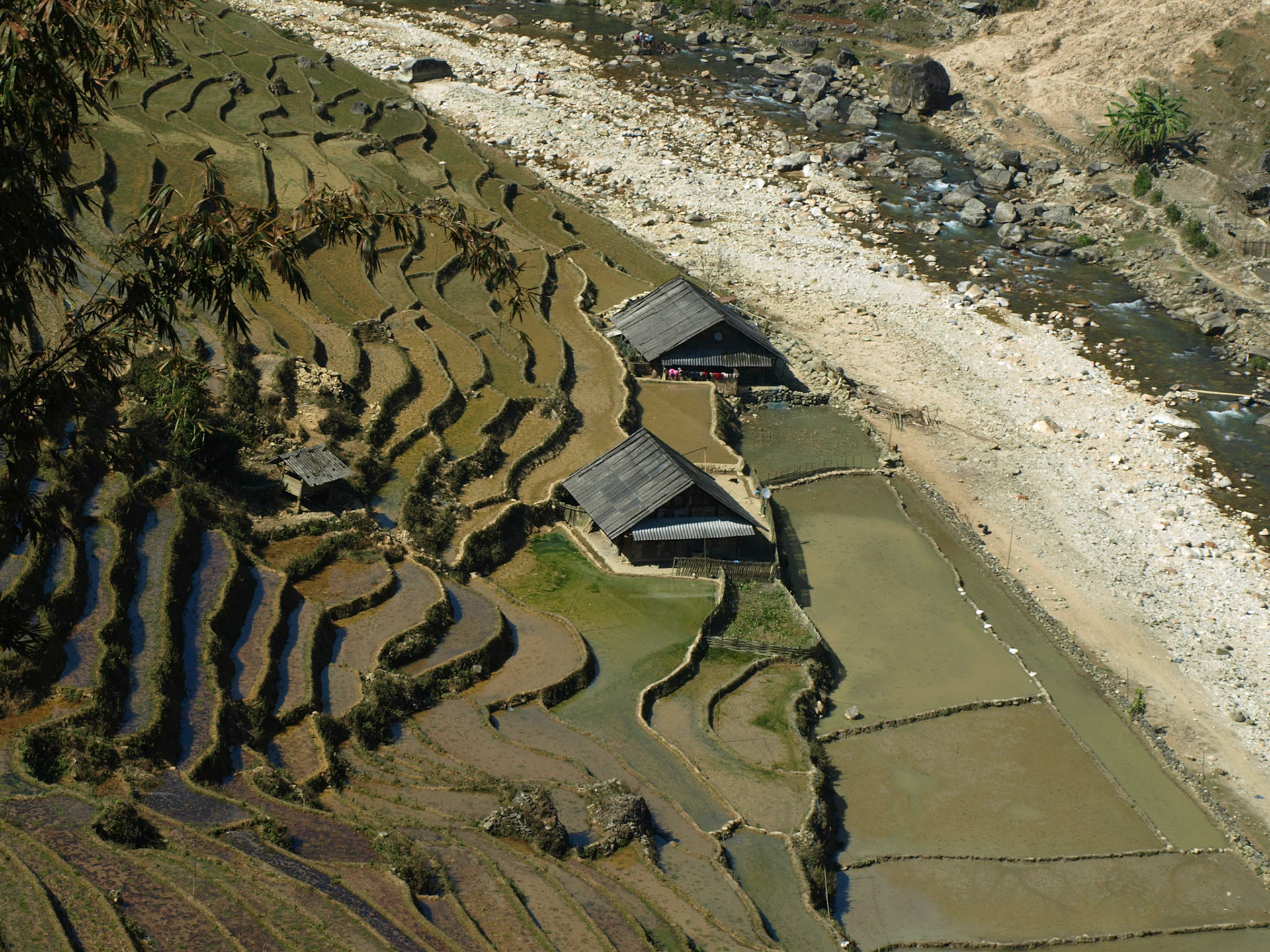 Rice fields - North of Vietnam - Sapa region -  Vietnam - 2011