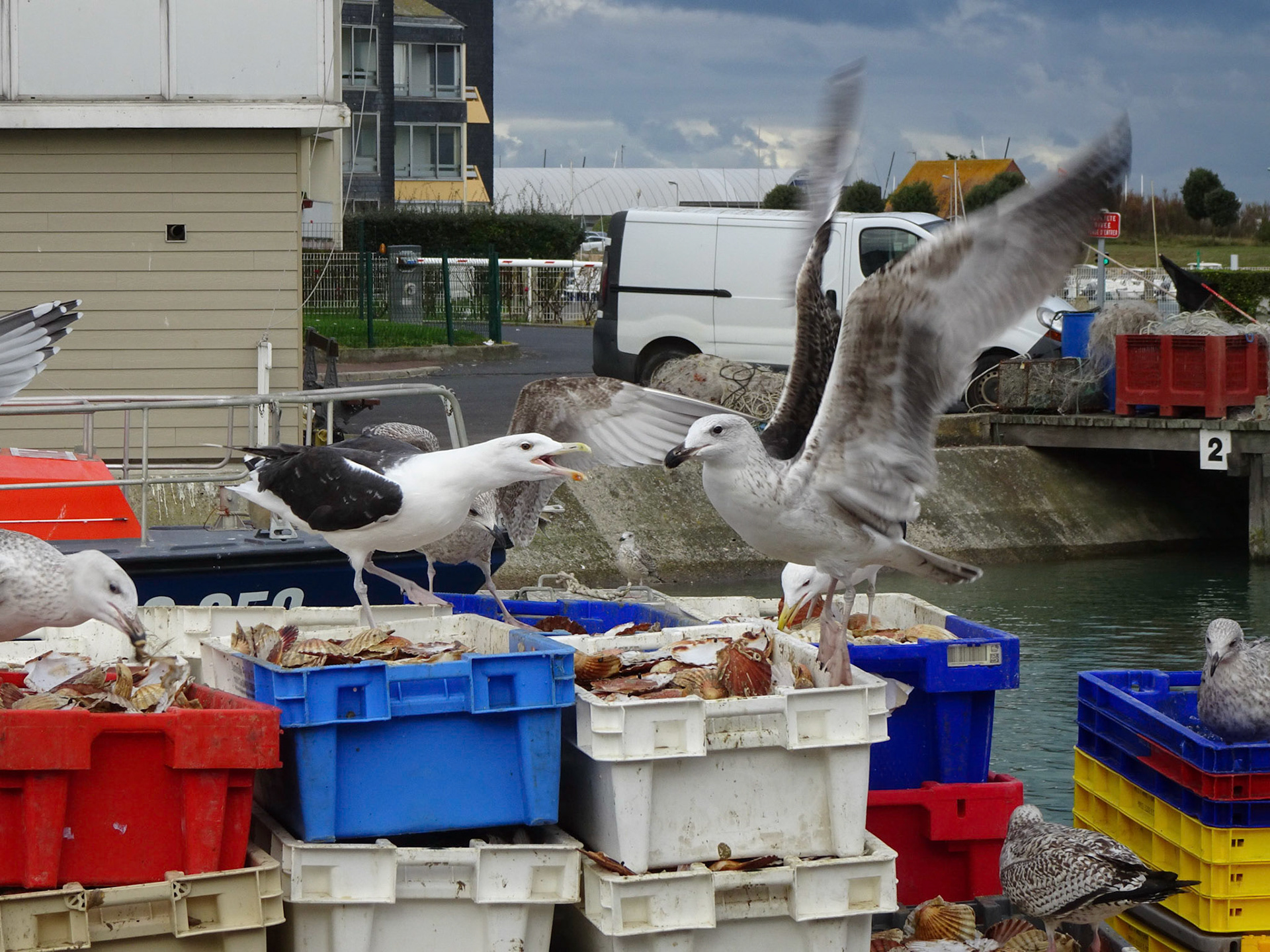 Courseulles-sur-mer en Normandie - Octobre 2018