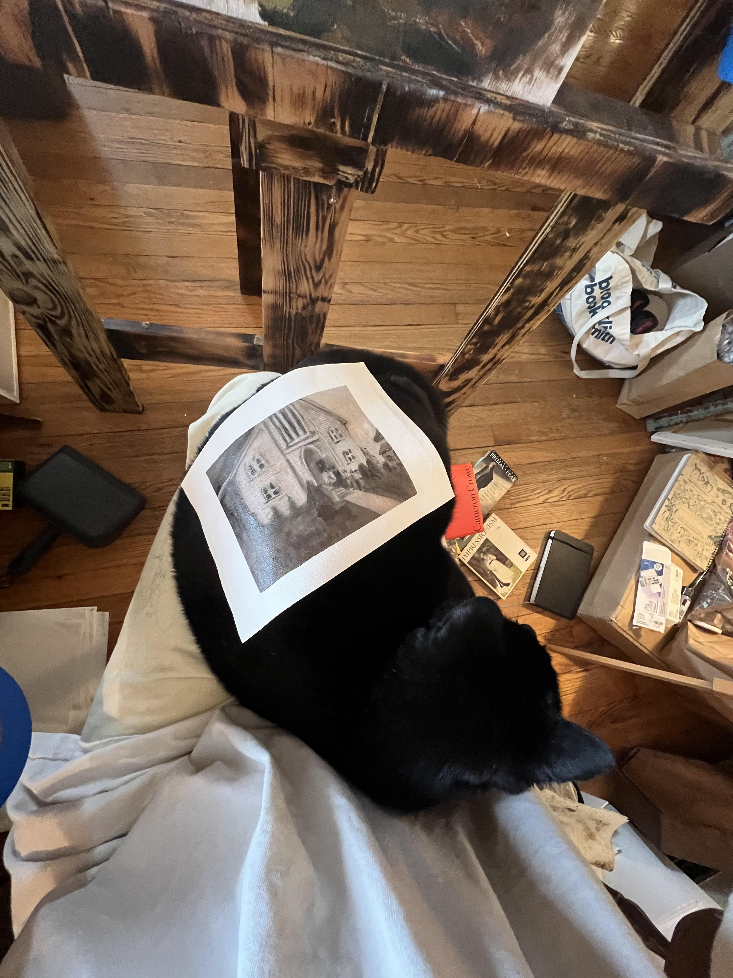 Using Dolores as an easel