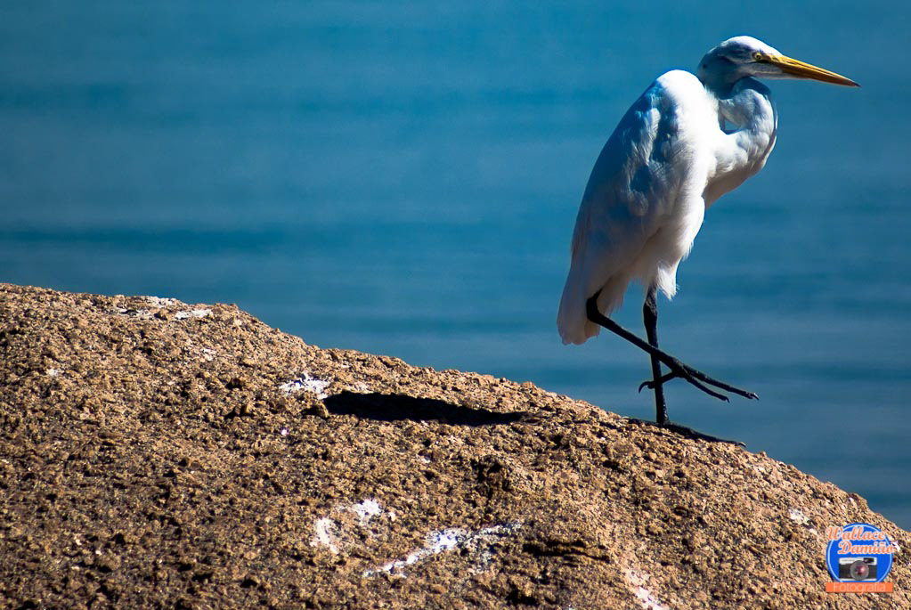 Paqueta Island, Rio de Janeiro