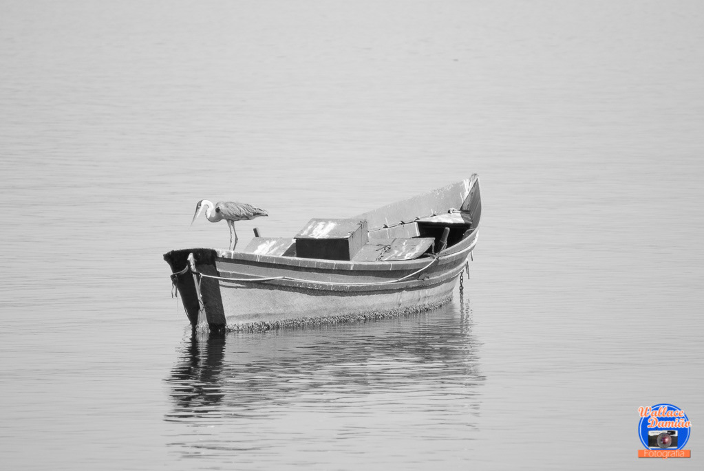 Paqueta Island, Rio de Janeiro
