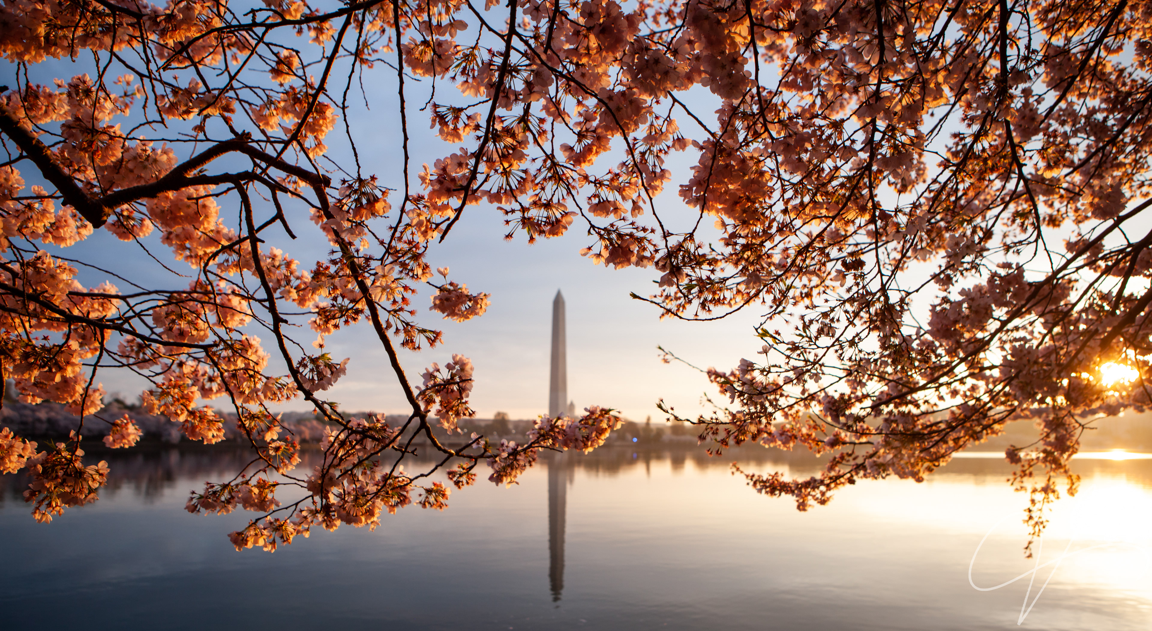 Washington DC