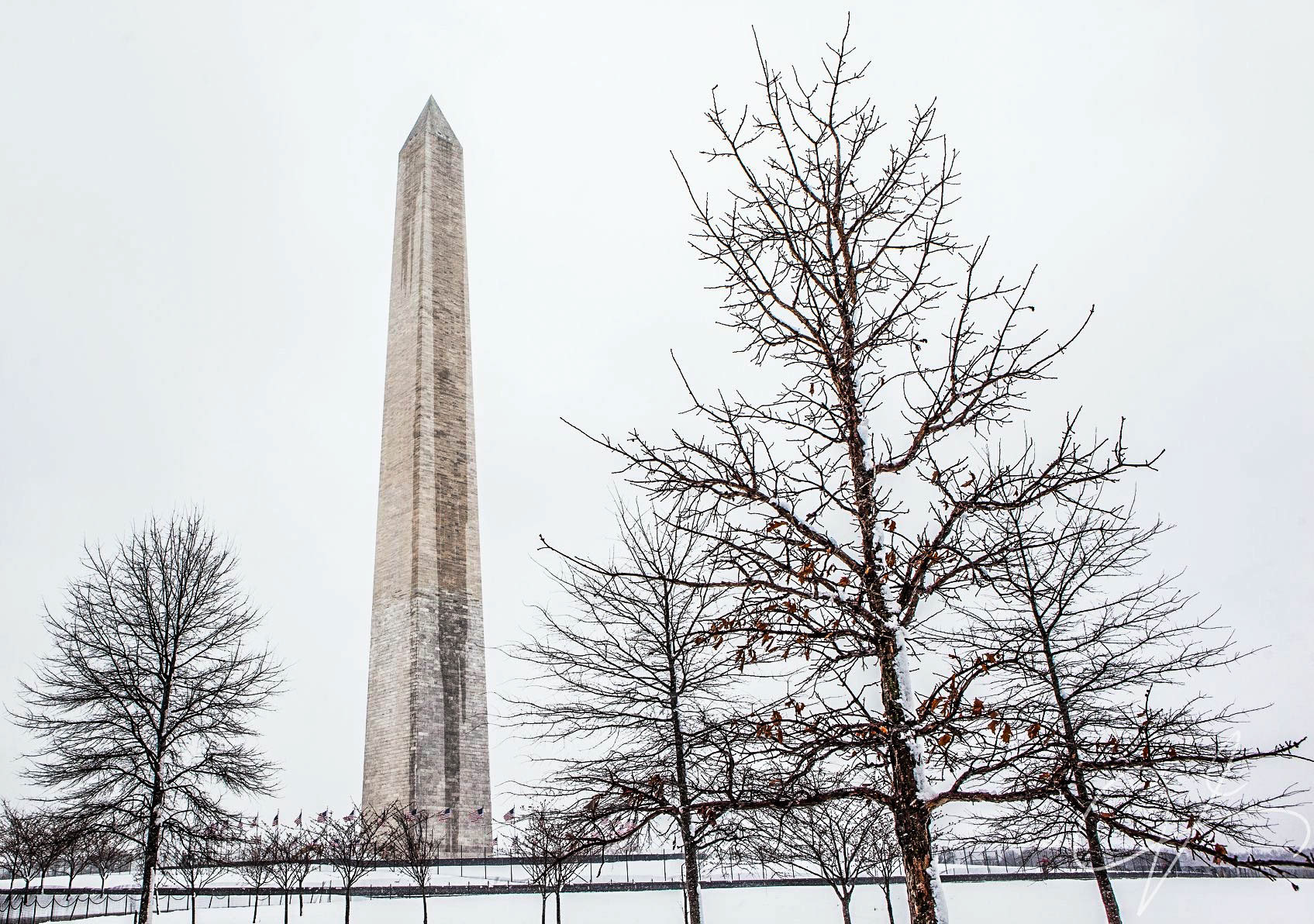 Washington DC