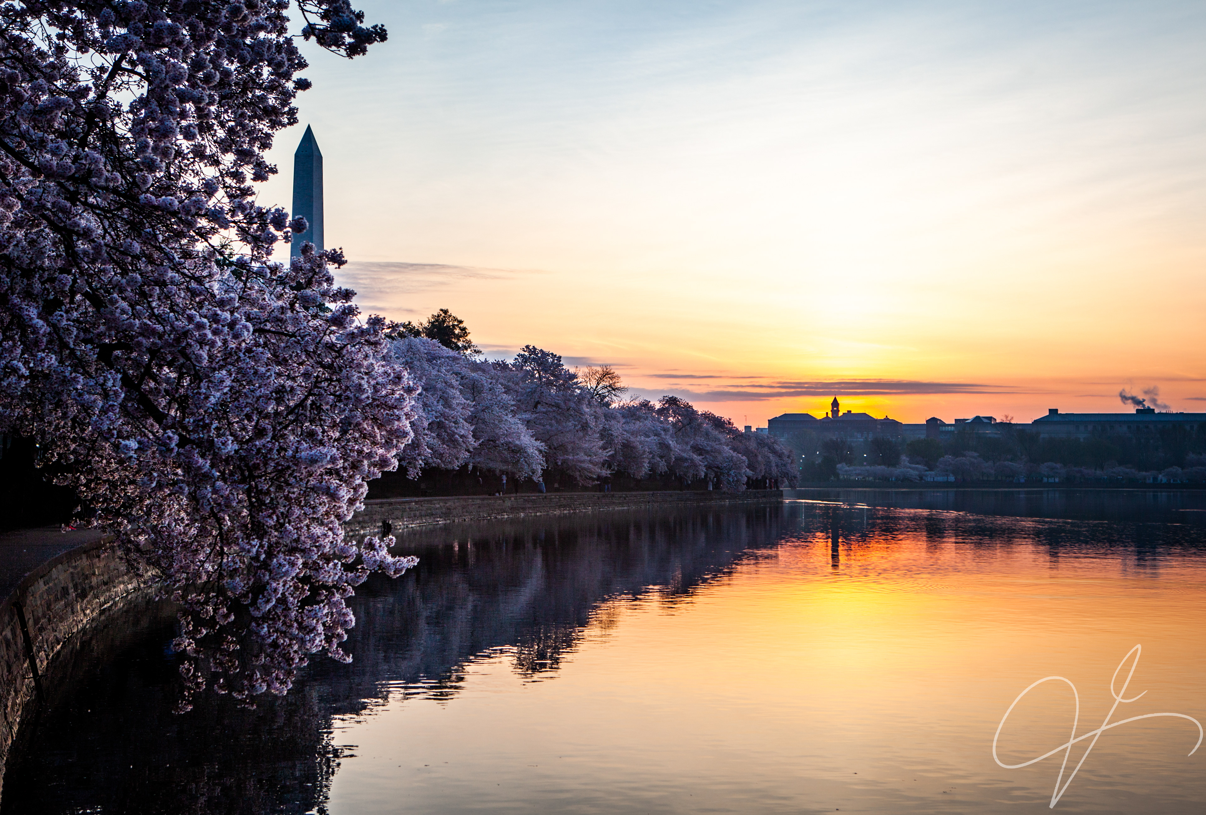 Washington DC