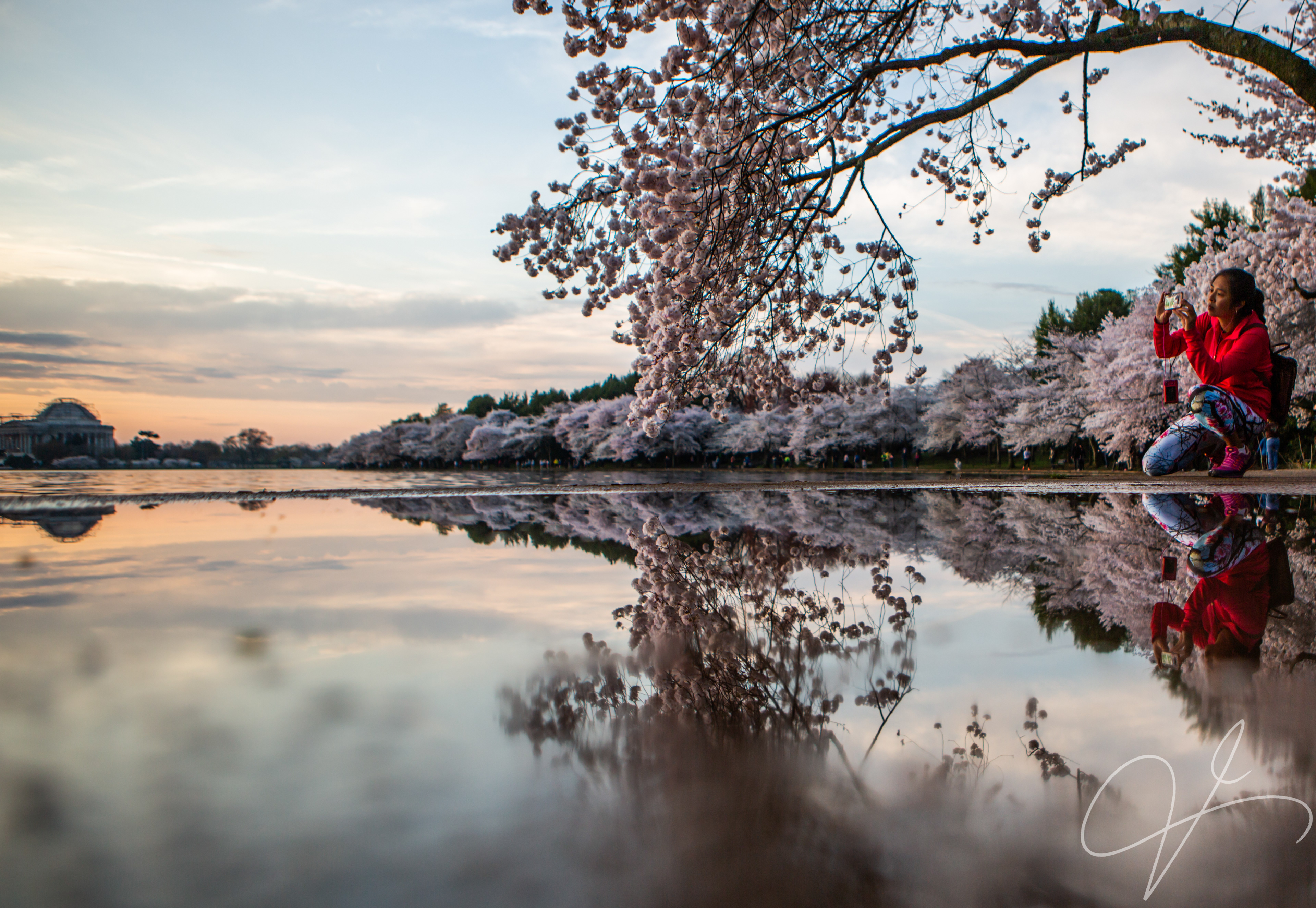 Washington DC