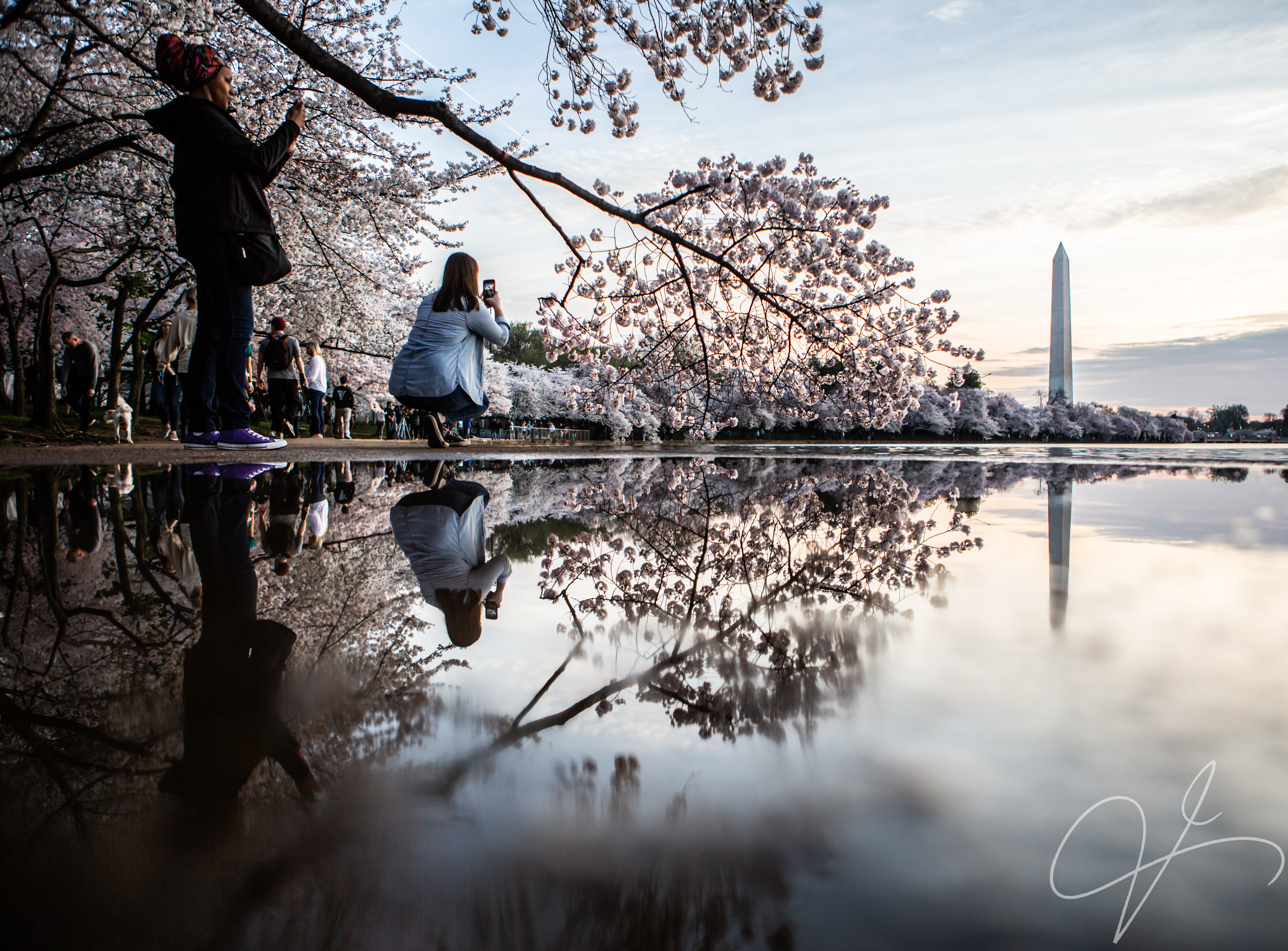 Washington DC