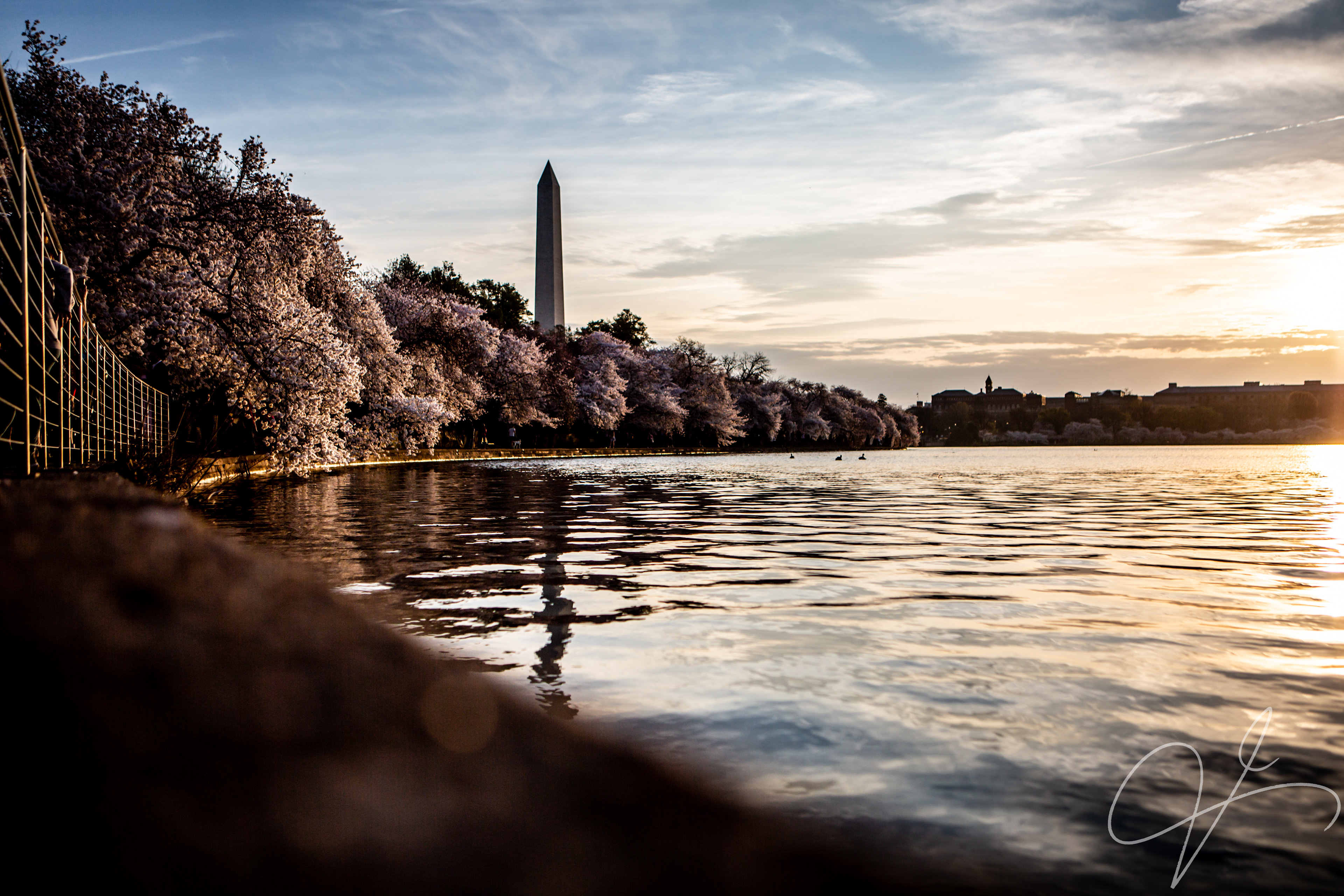 Washington DC