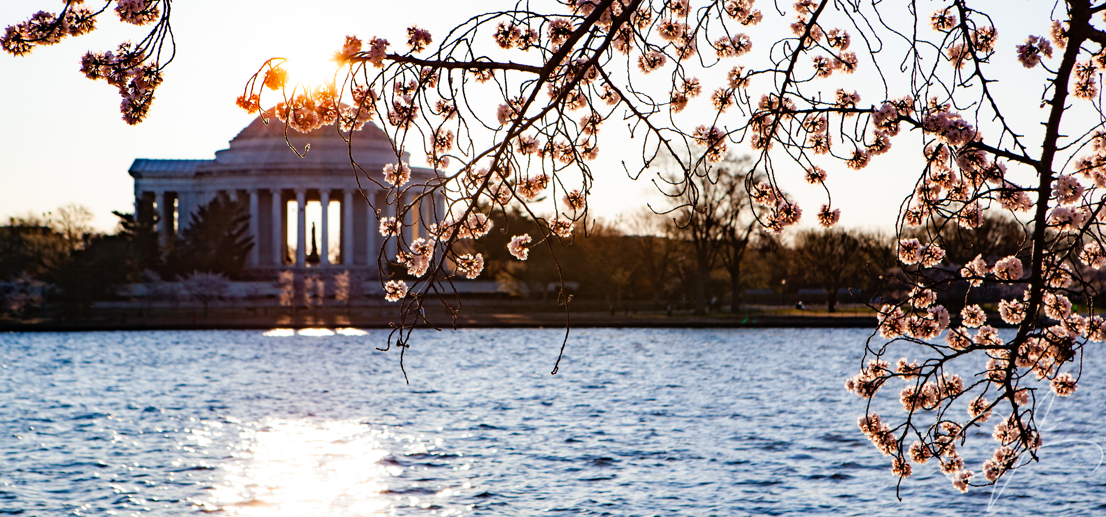 Washington DC
