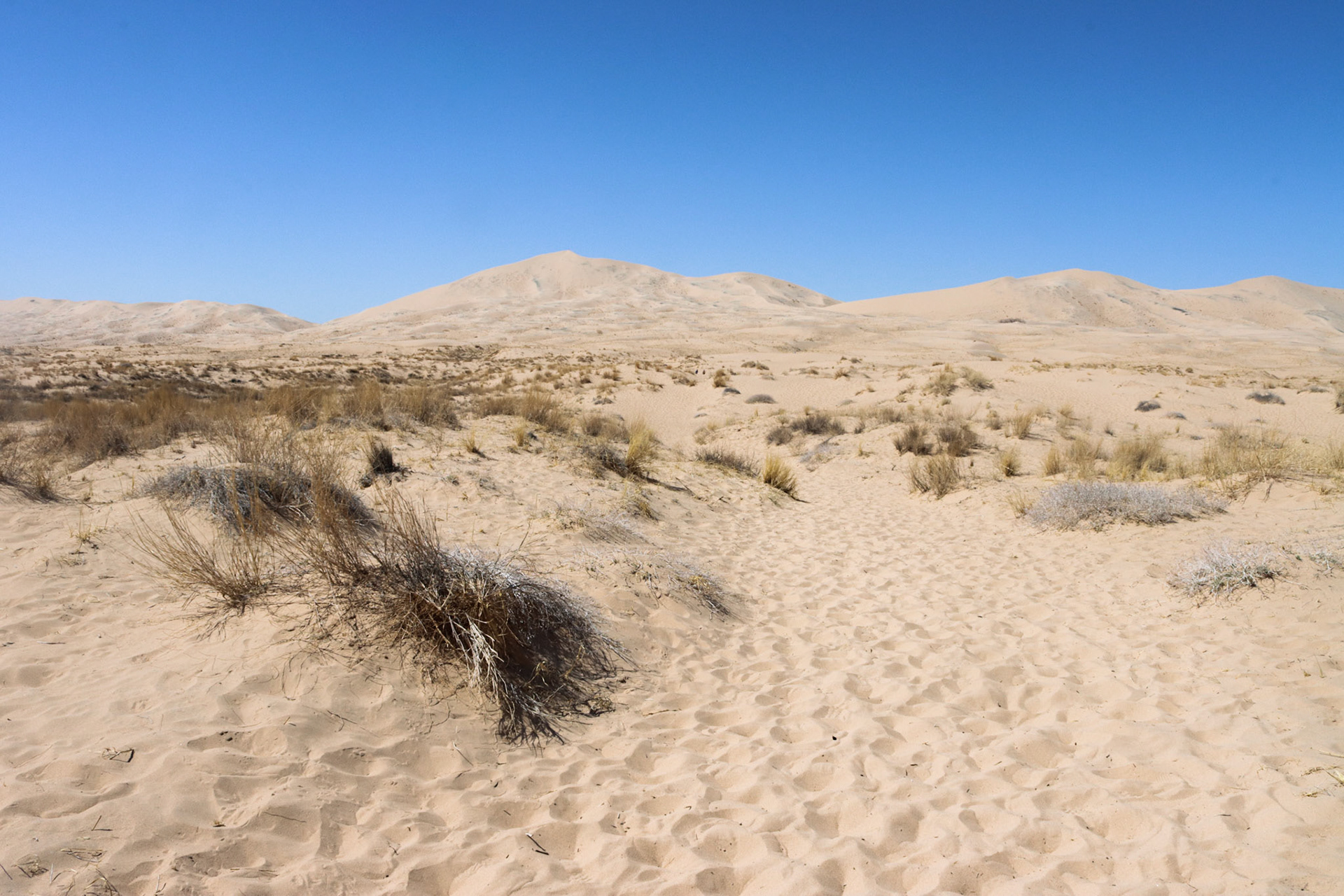 Kelso, California