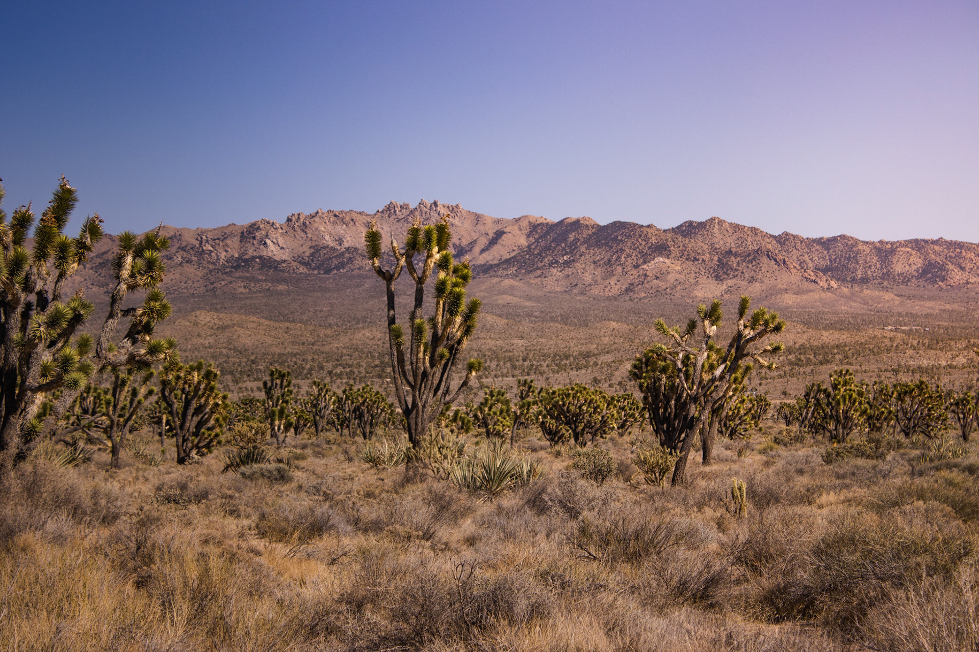 California