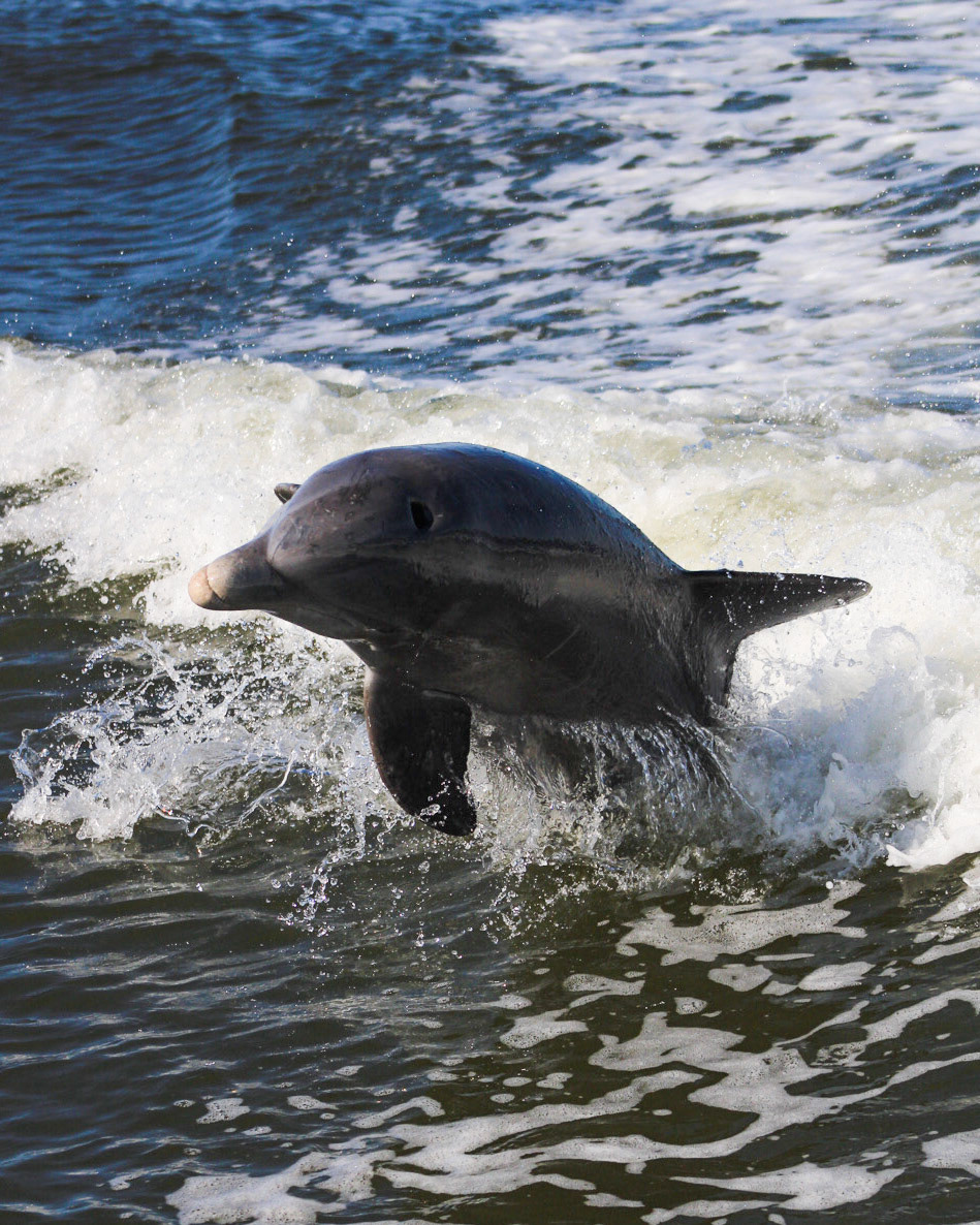 Everglades National Park, FL