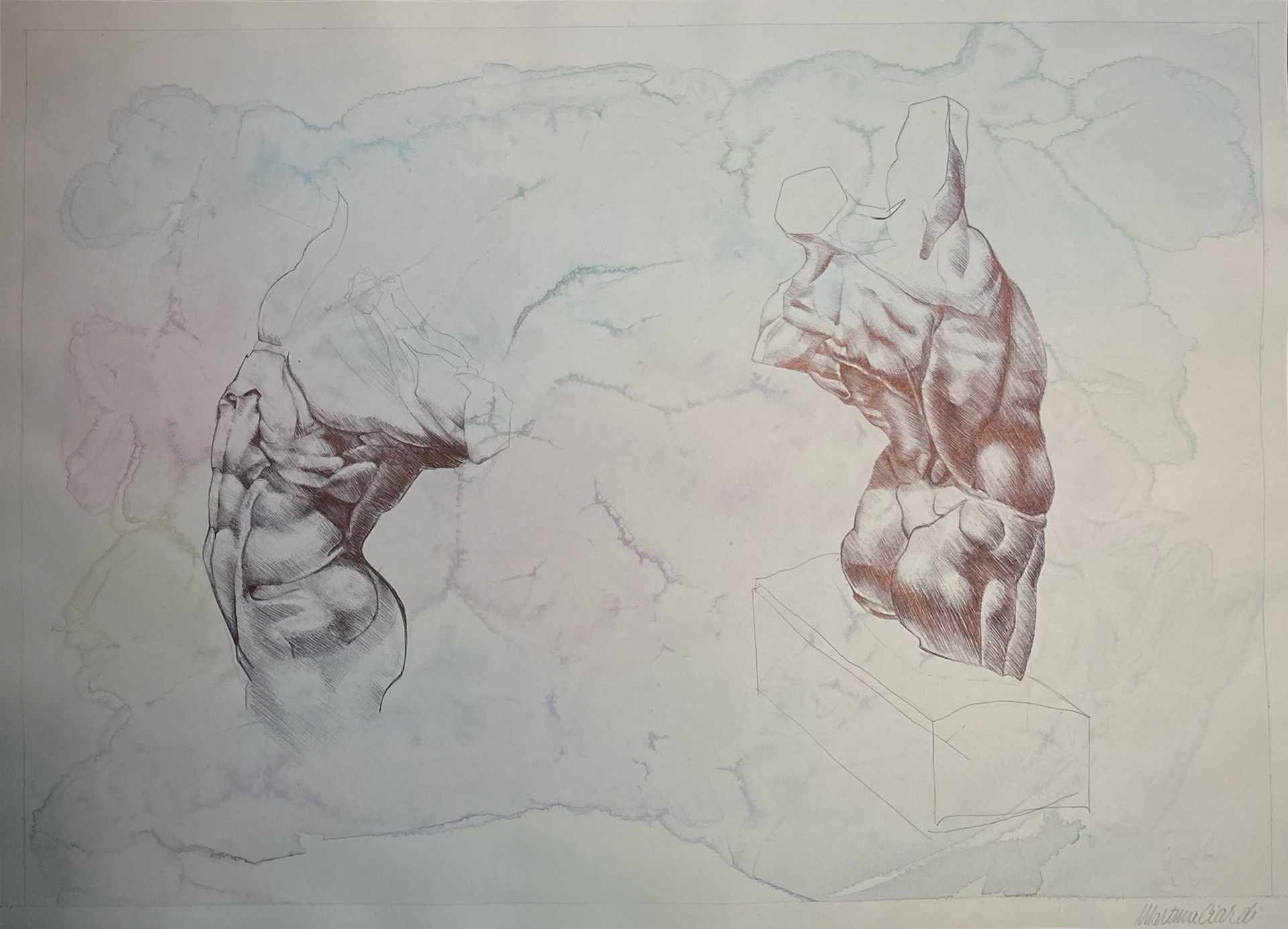 2019, anatomical study done with ballpoint pen