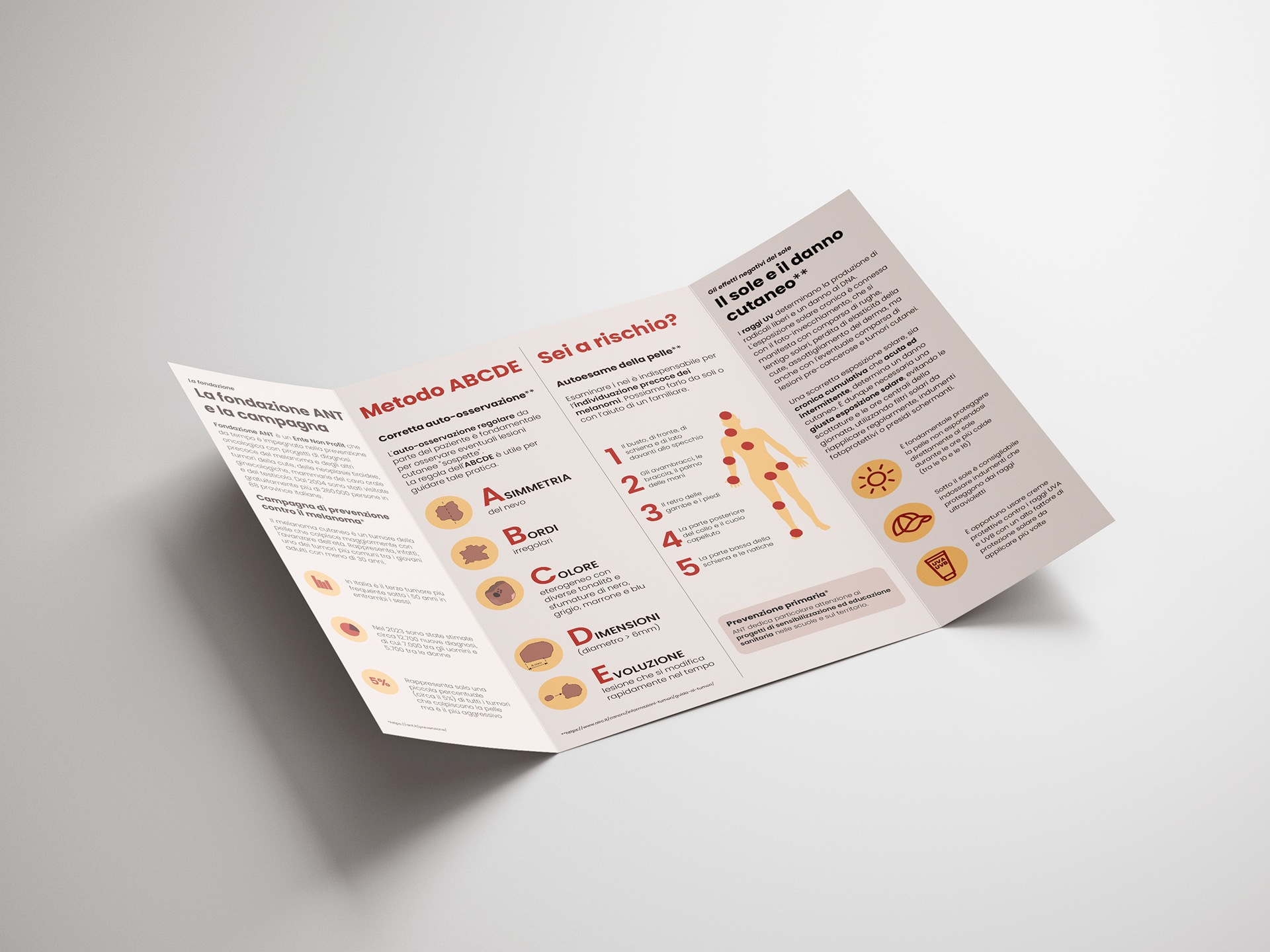 Brochure for the campaign