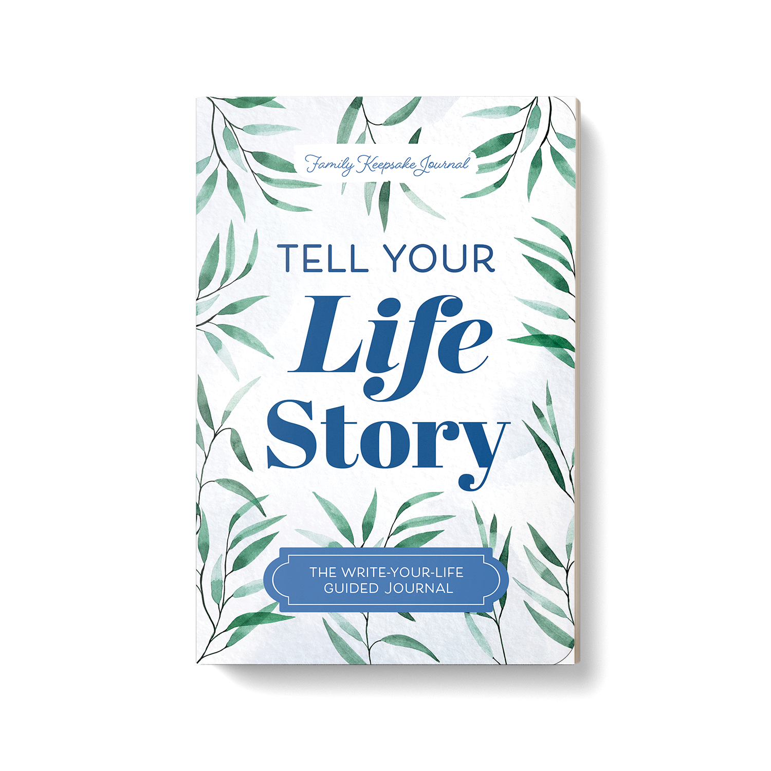 Series design: Chelsea Jewell. Art direction: Jillian Rahn