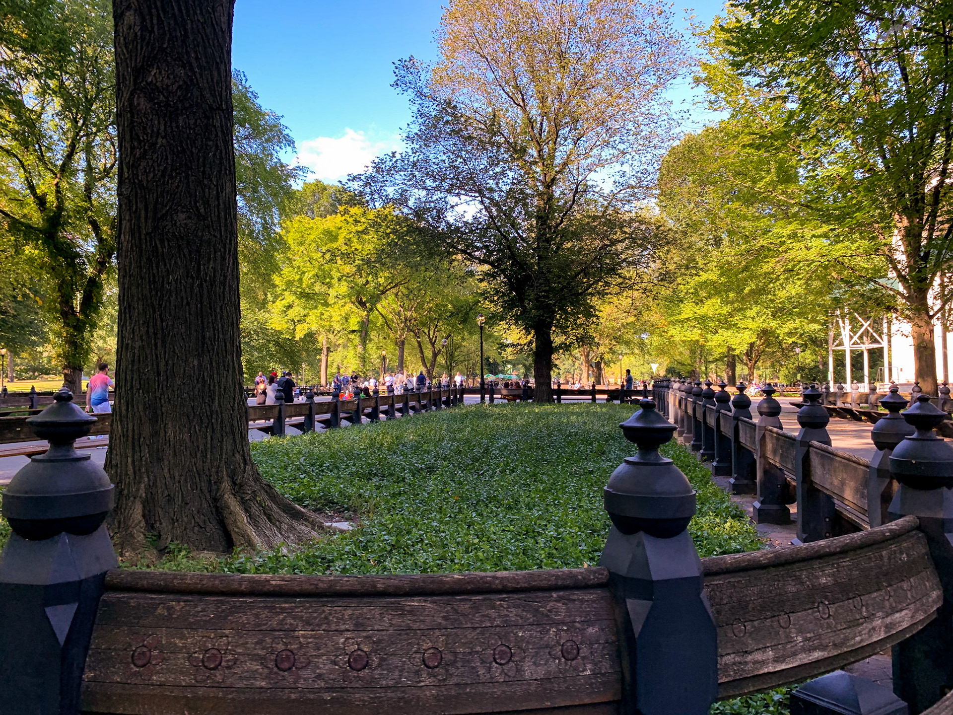 Central Park Pt. 2 - 2019