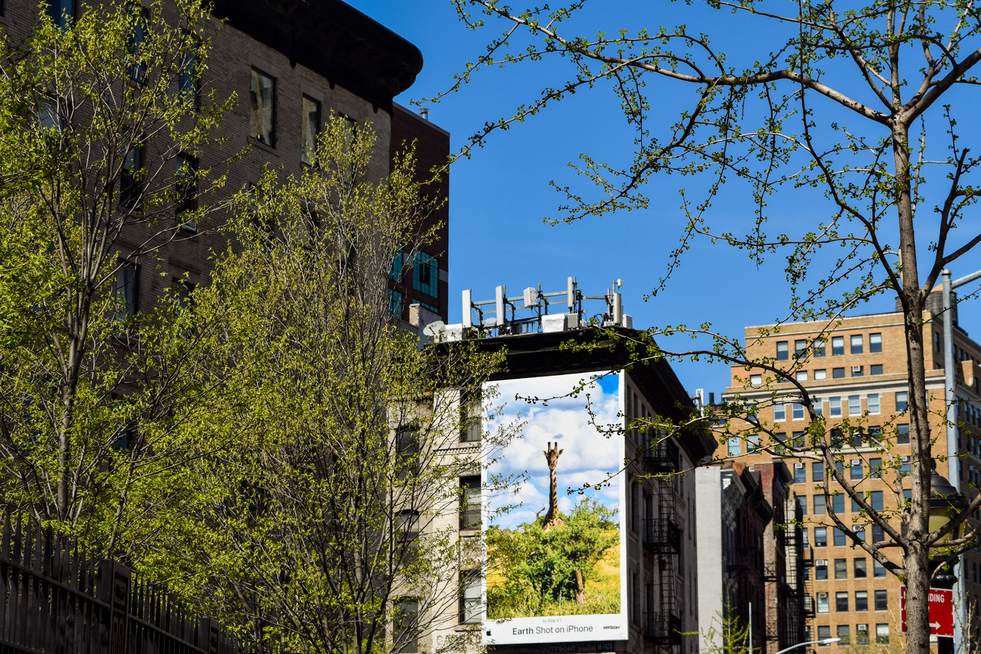 Skyscraper Safari - 2019