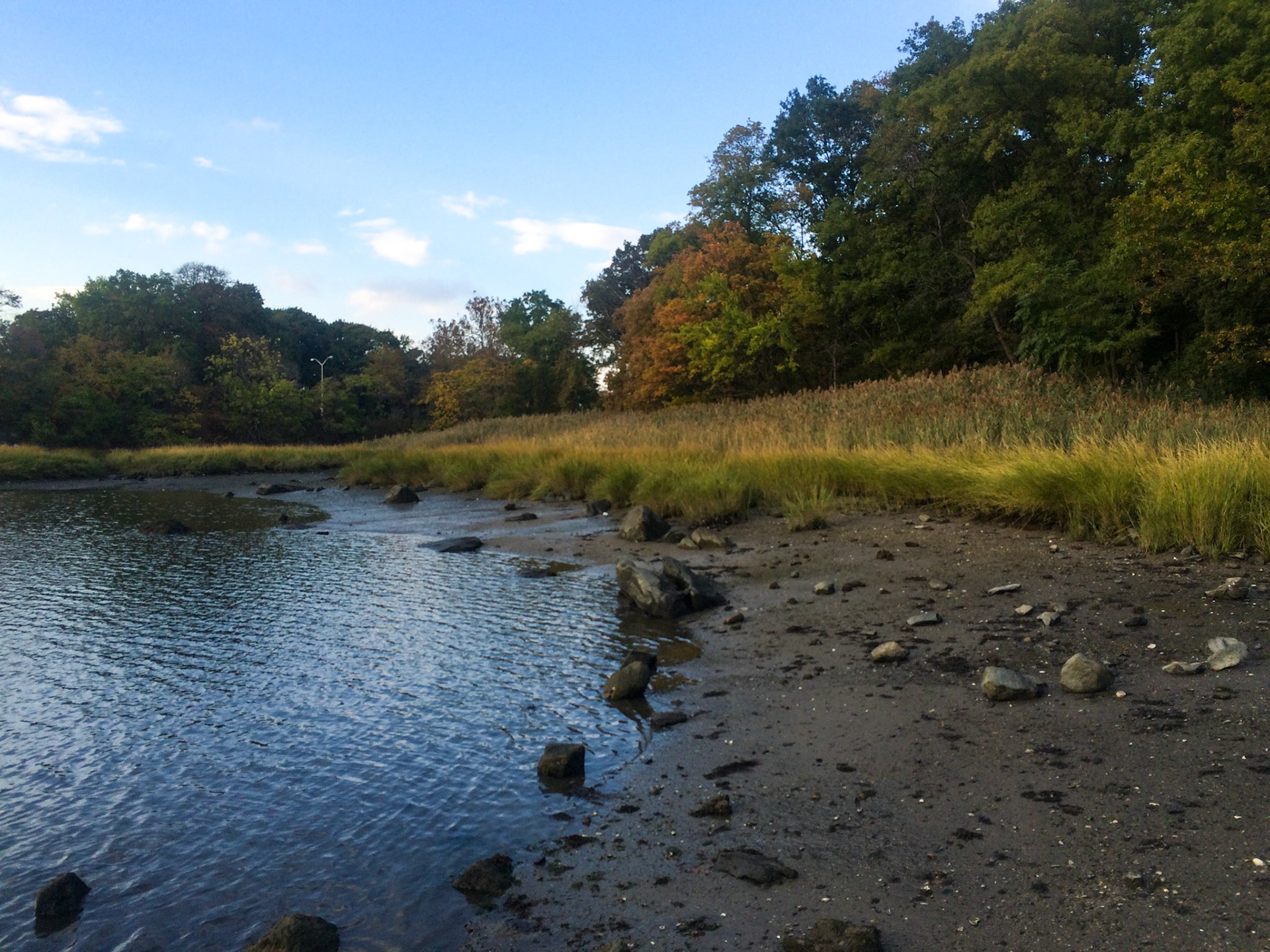 City Island Pt. 2 - 2015