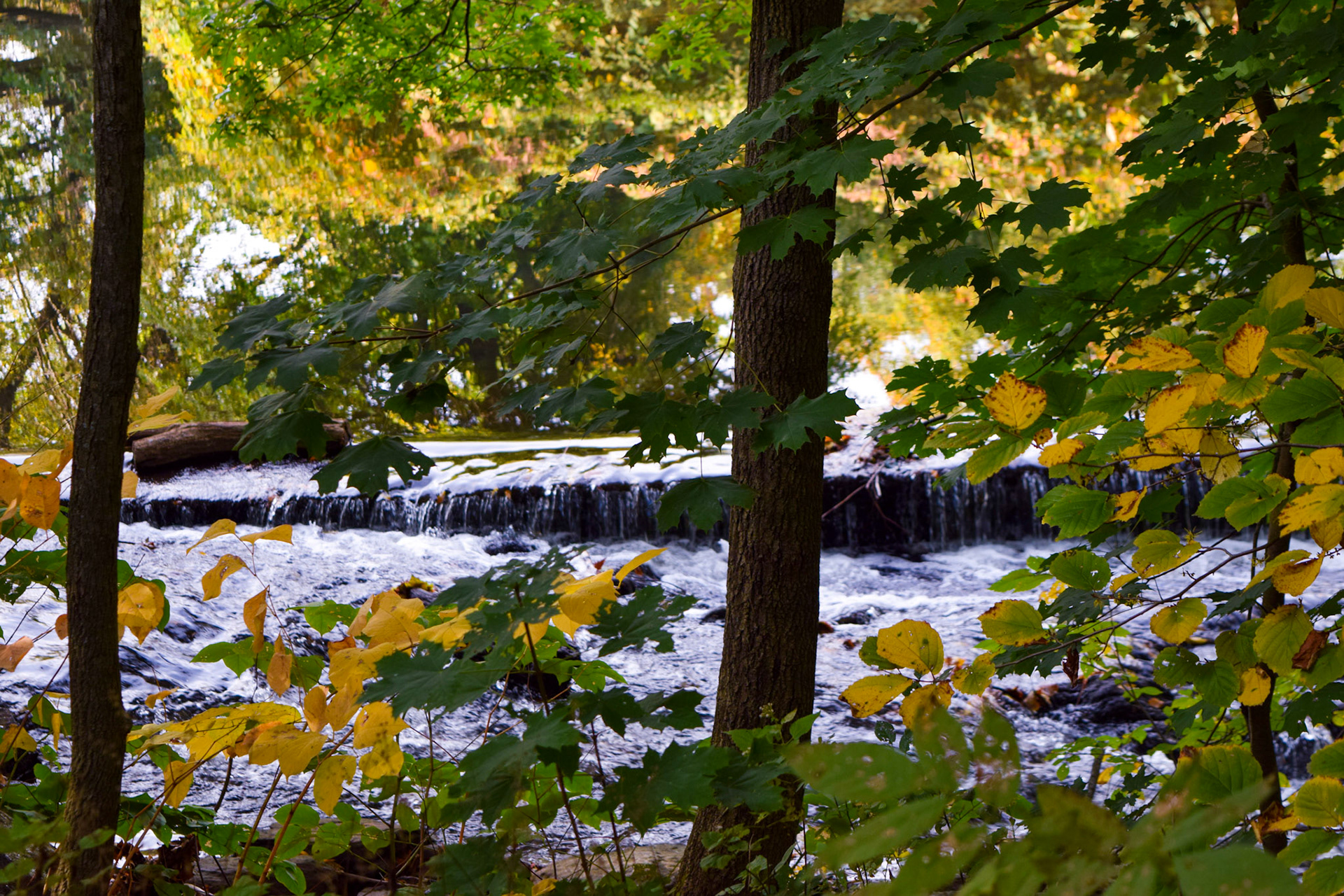 Waterfall Pt. 1 - 2014