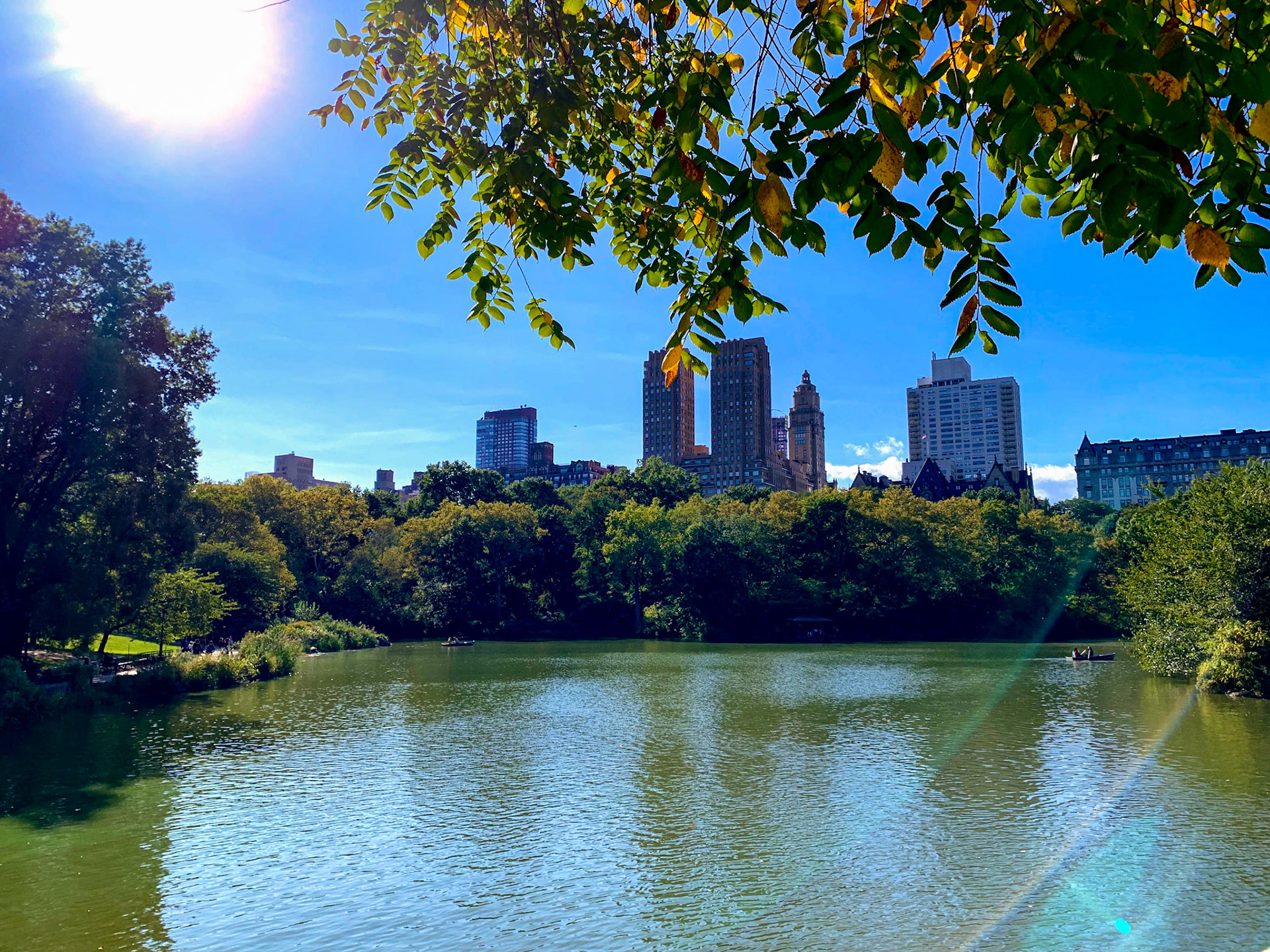 Rowboat Pt. 2 - 2019