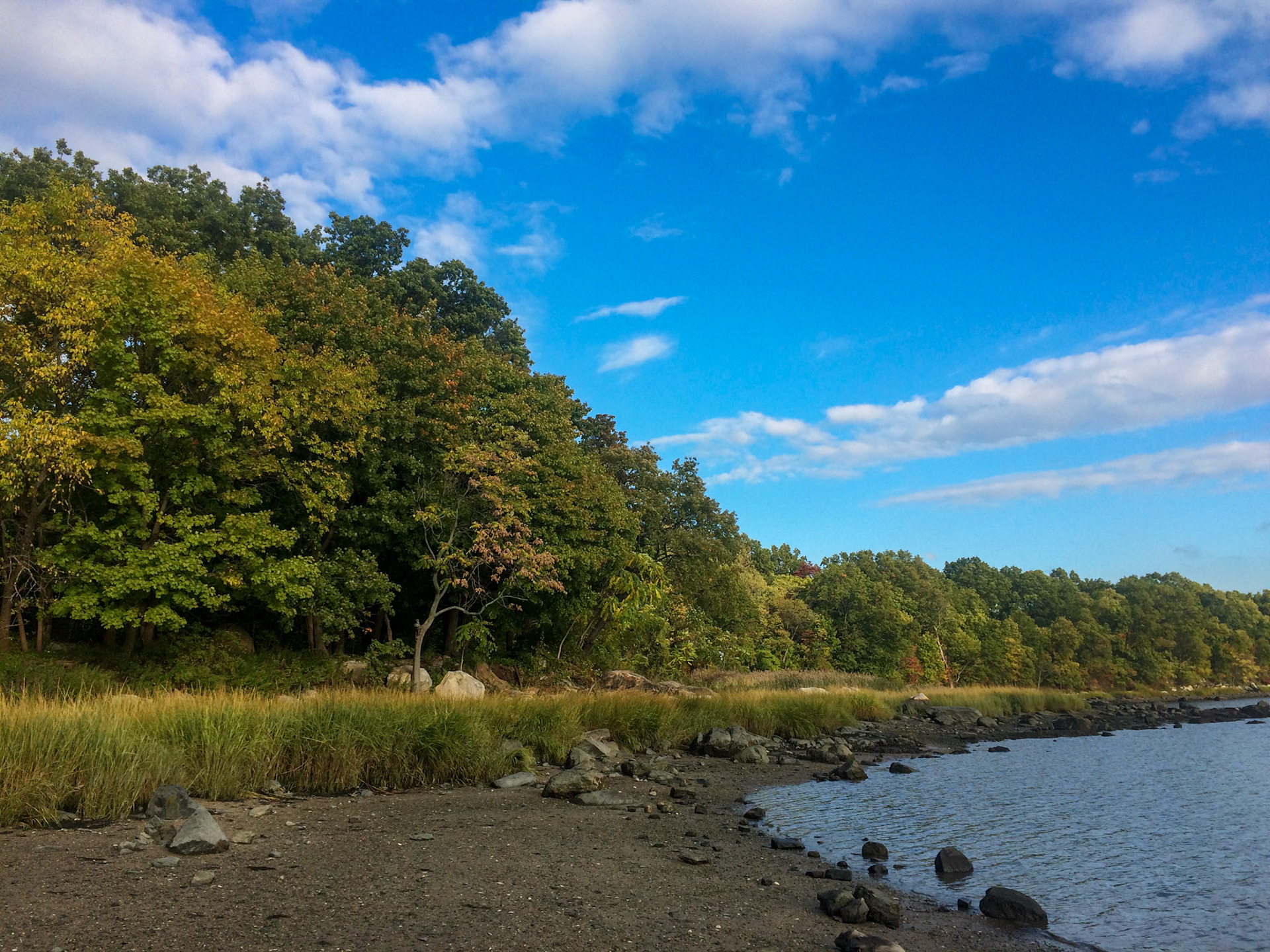 City Island Pt. 1 - 2015