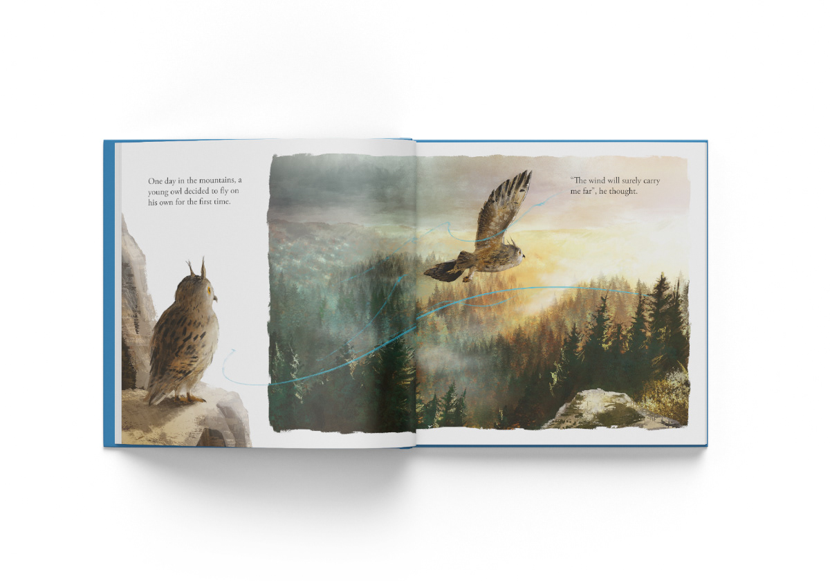 Little Owl Meets the Weather – self-initiated children's book