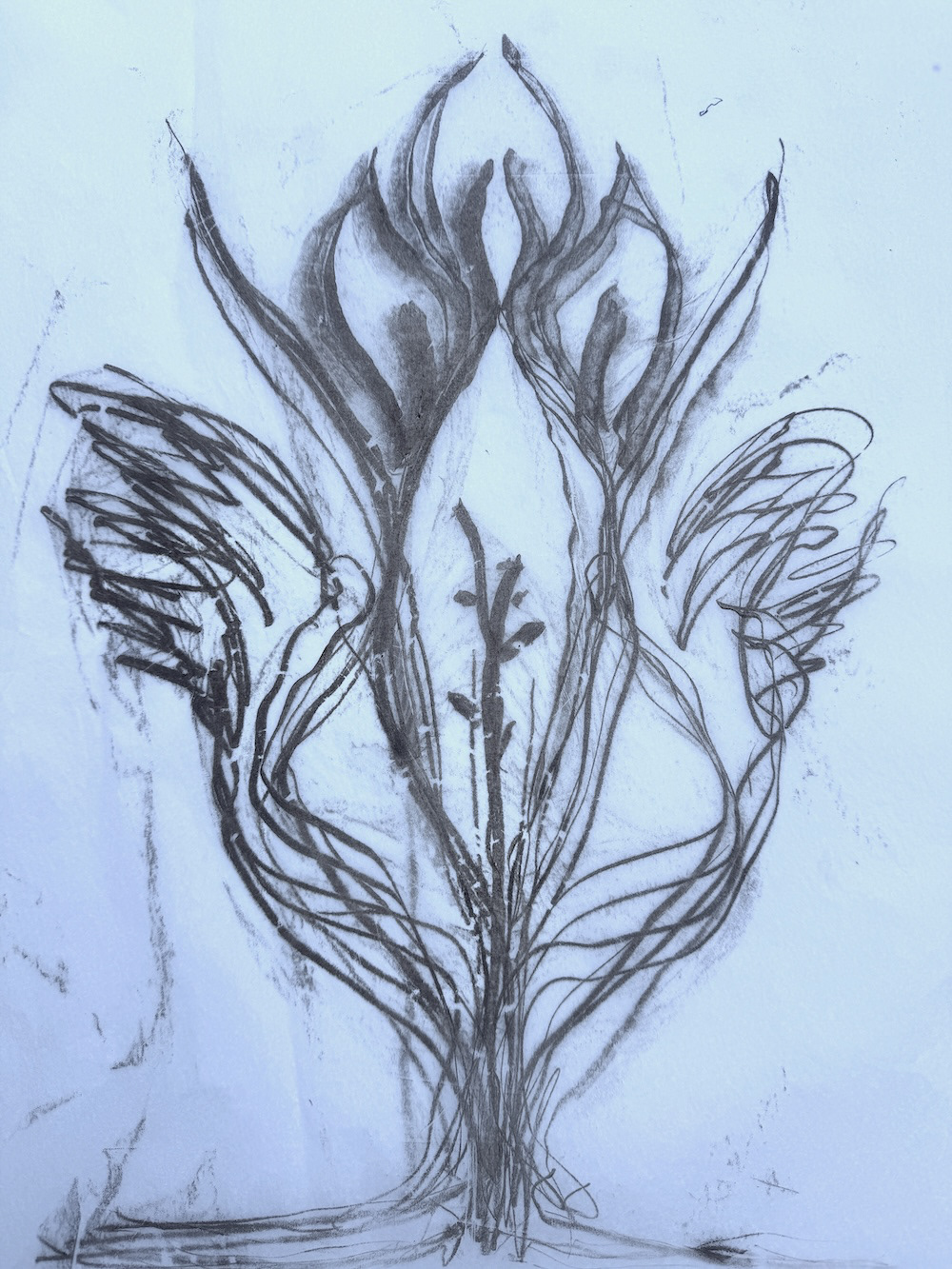 Emerging