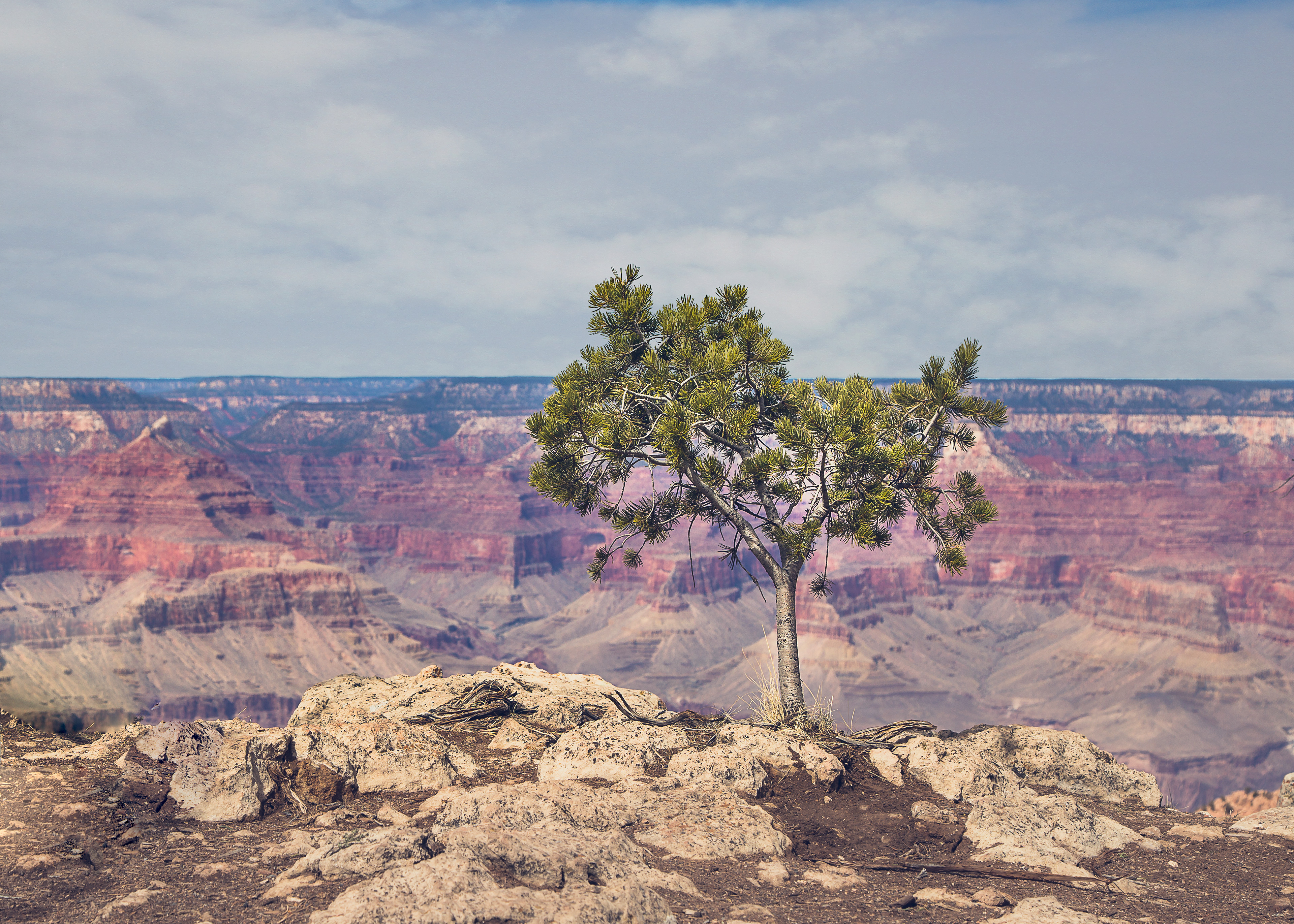 Grand Canyon National Park, Arizona