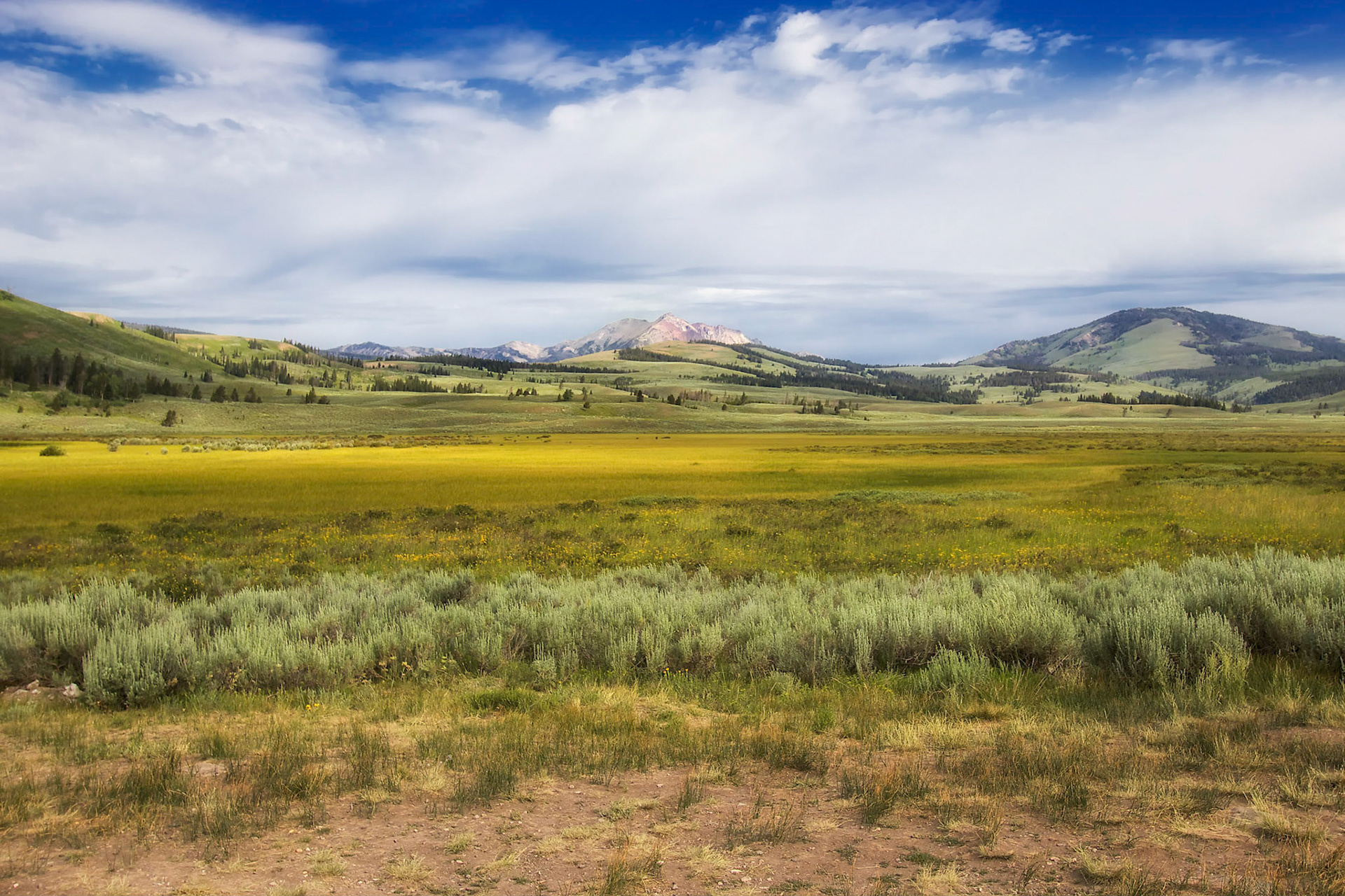 Lamar Valley, Yellowstone National Park, Wyoming