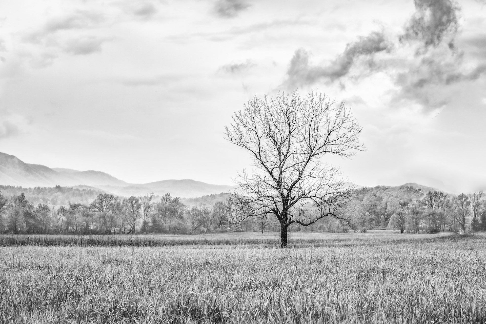 Cades Cove, Great Smoky Mountains NP Tennessee