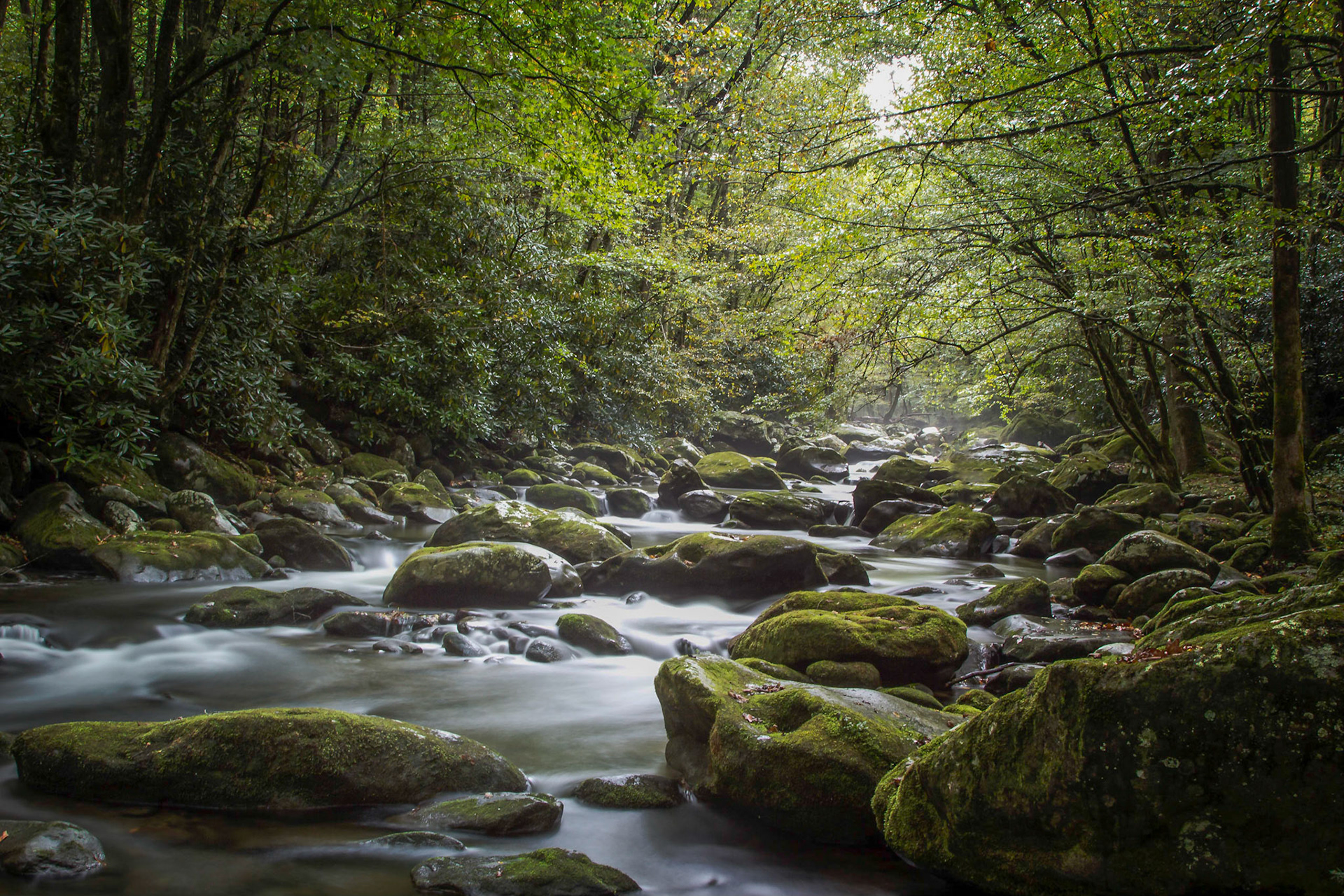 Great Smoky Mountain NP, Tennessee