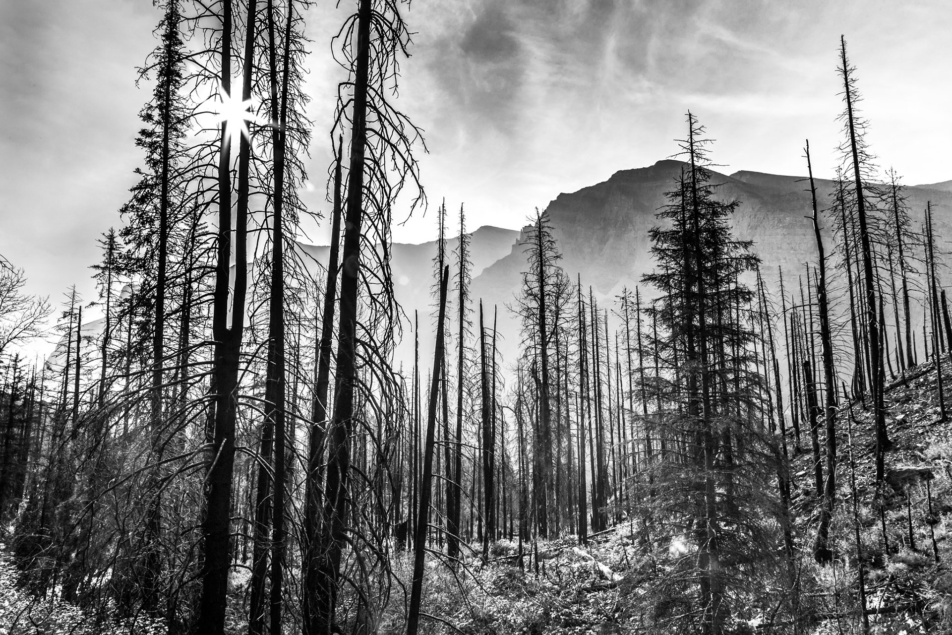 Glacier National Park, Montana