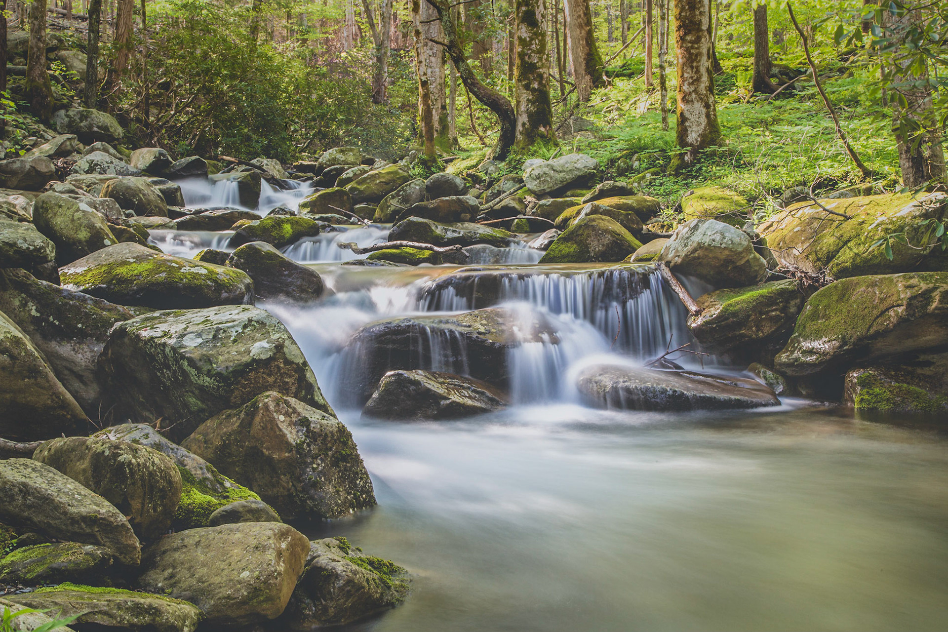 Rainbow Falls Trail, Great Smoky Mountains NP, Tennessee