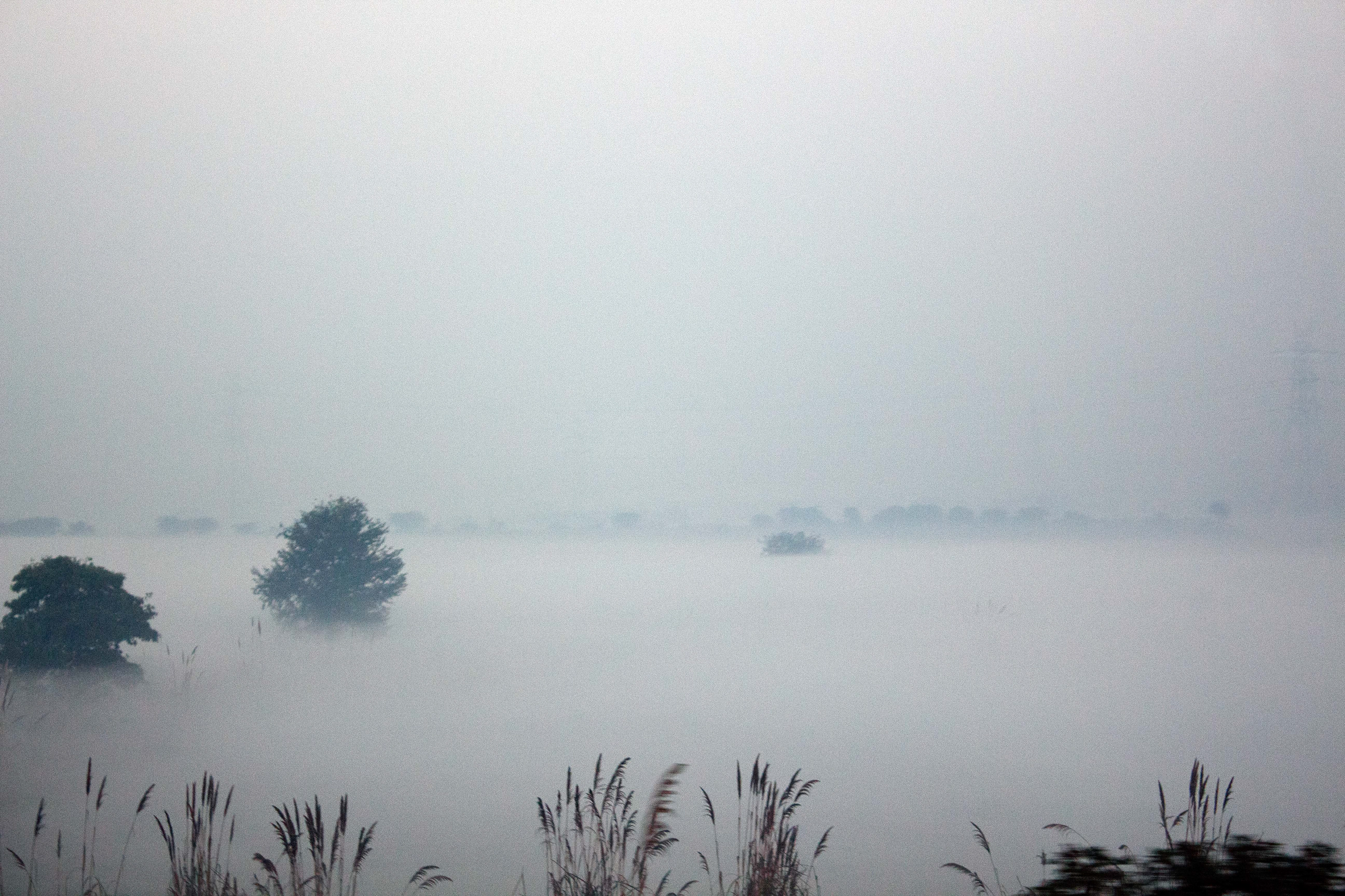 Early morning in New Delhi when air pollution is at its worst. India is now the most polluted city in the world.