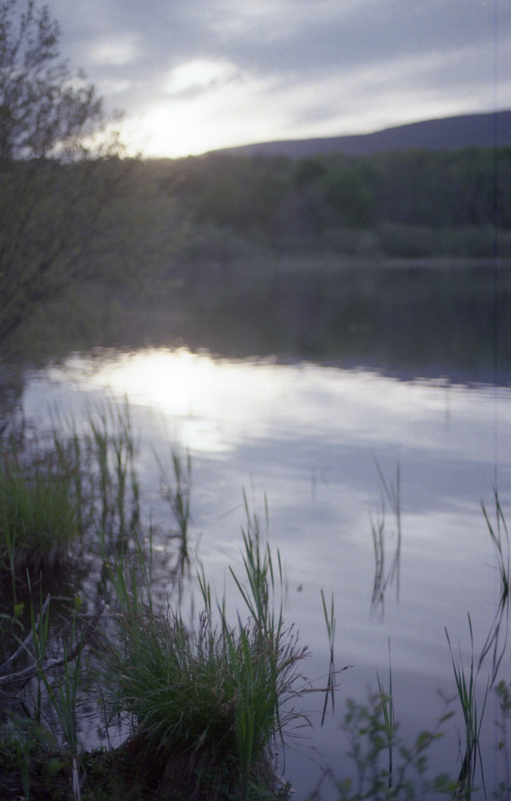 Overcast Lake (35mm film)
