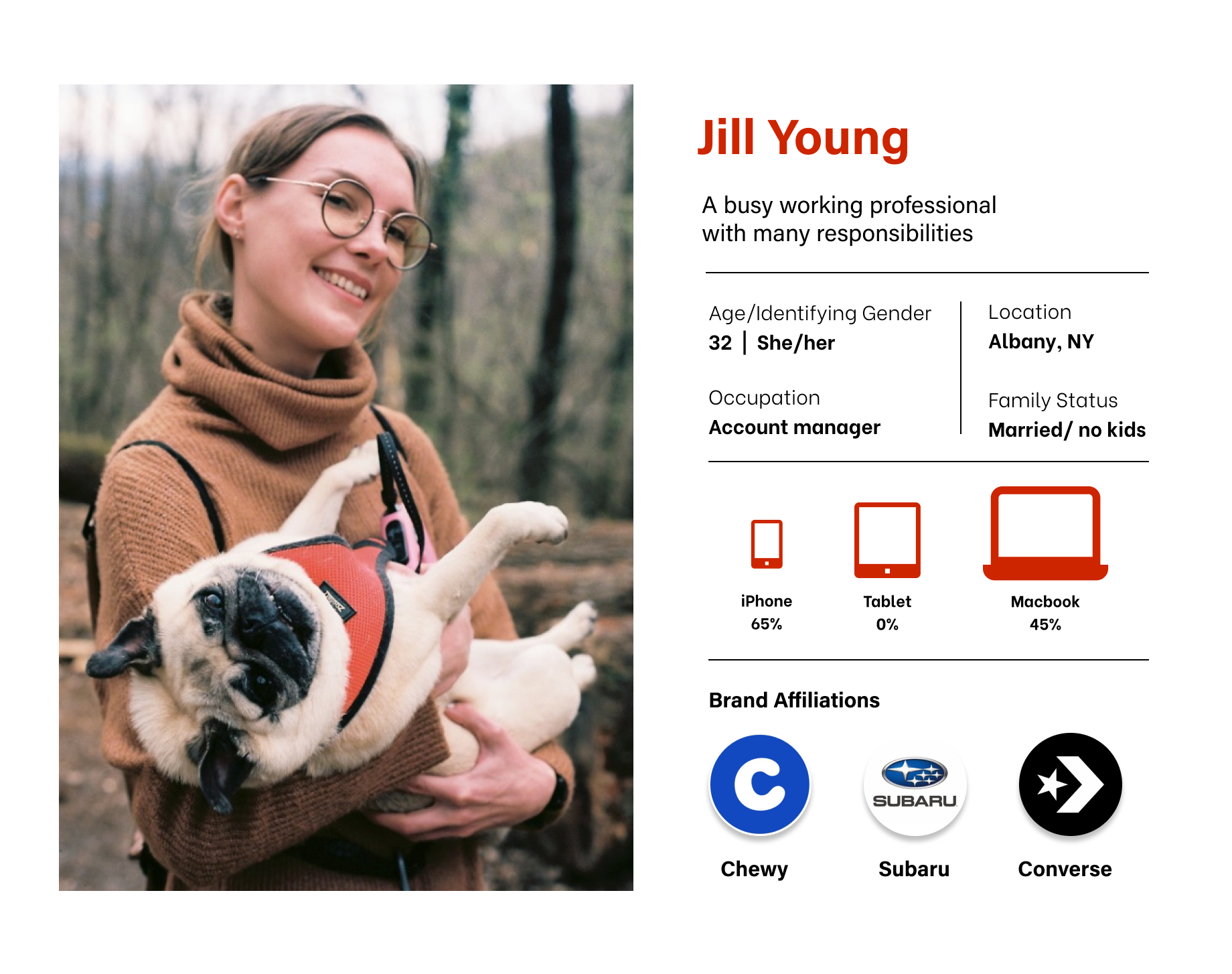 user persona