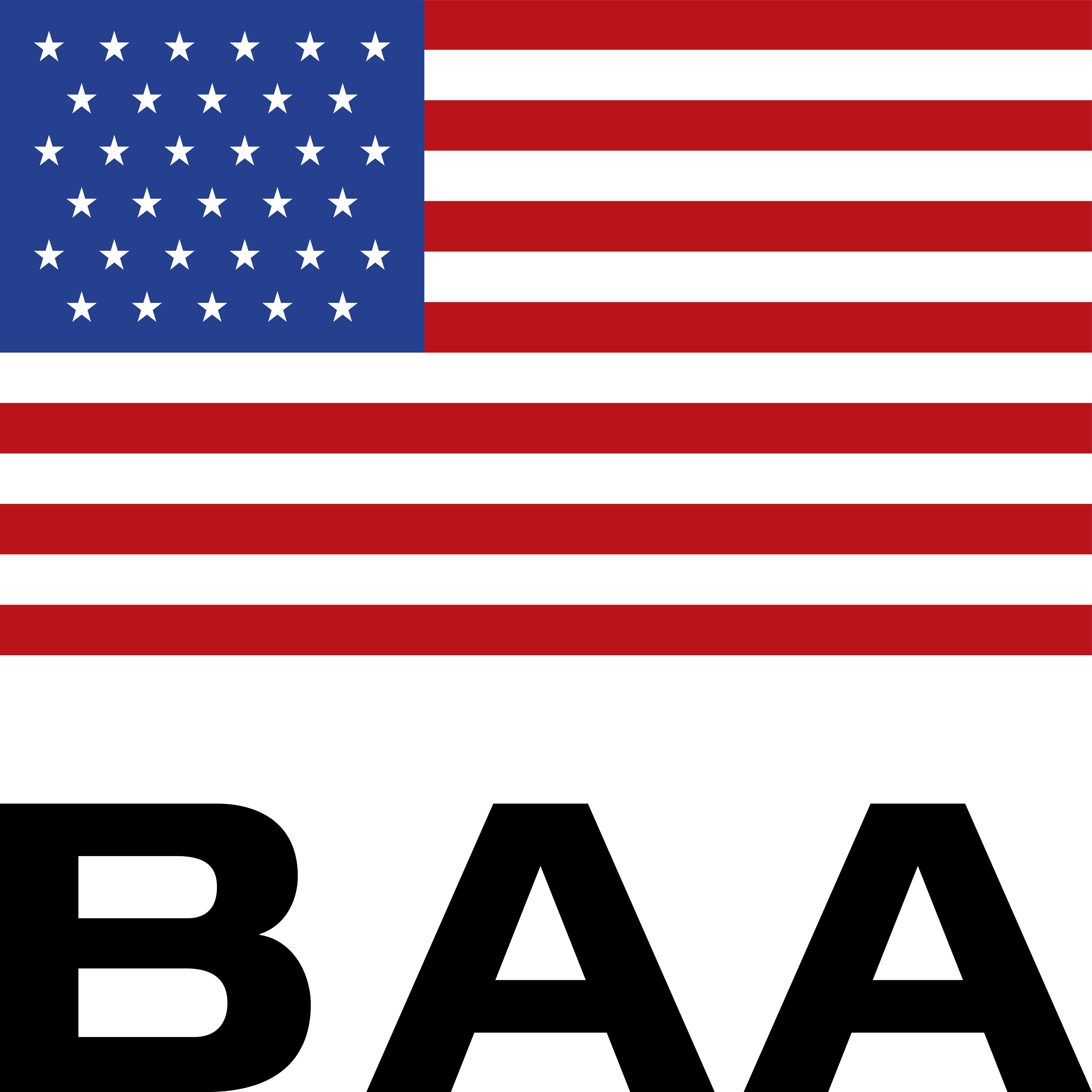 Buy American Act Icon