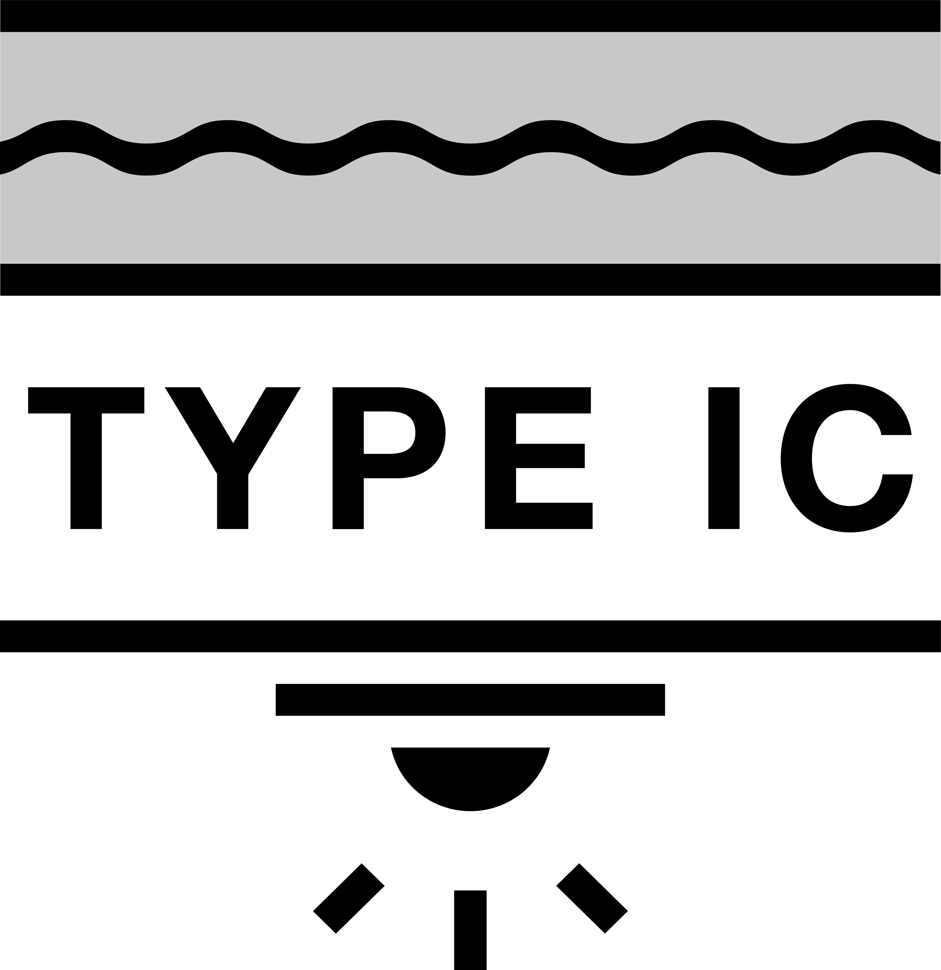 Type IC Certified Icon