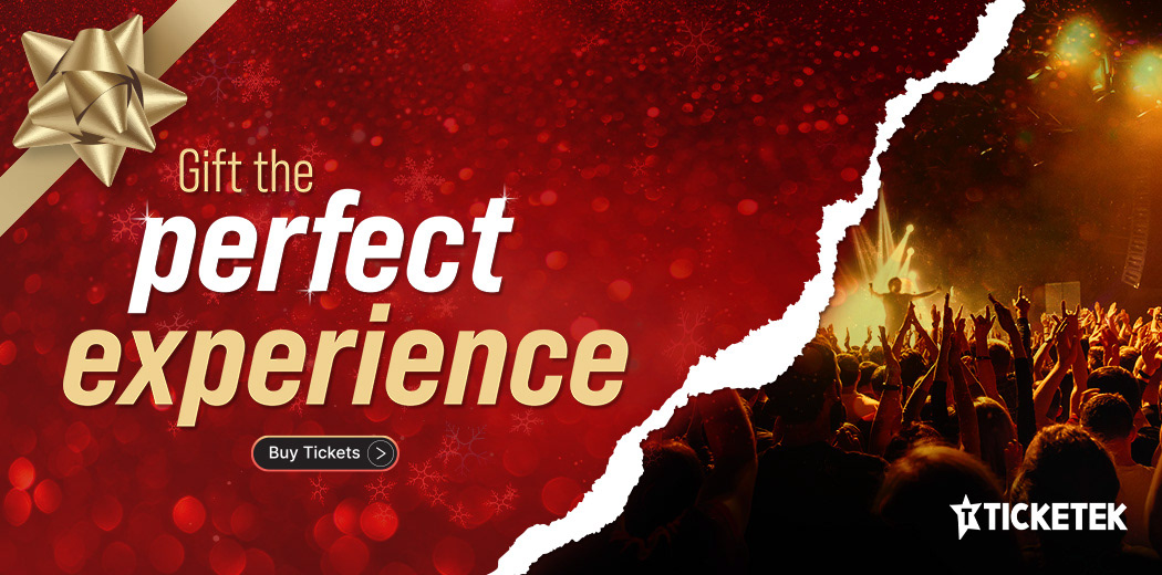 Christmas Promo eDM Banner