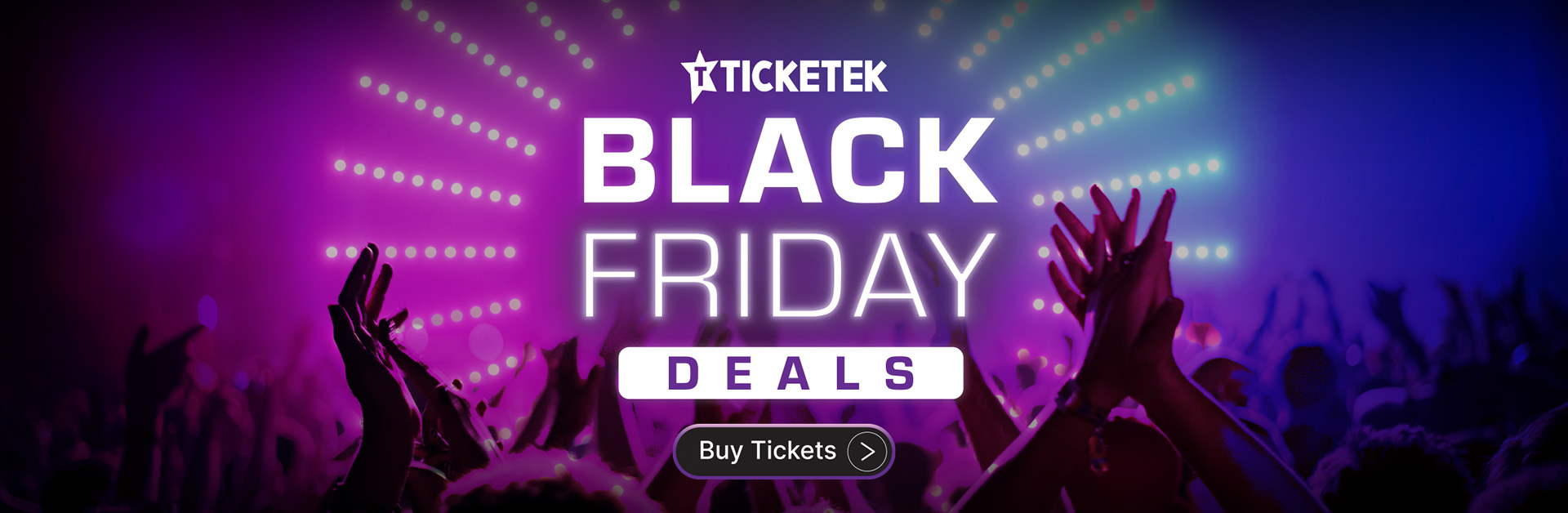 Black Friday Promo Web Banner