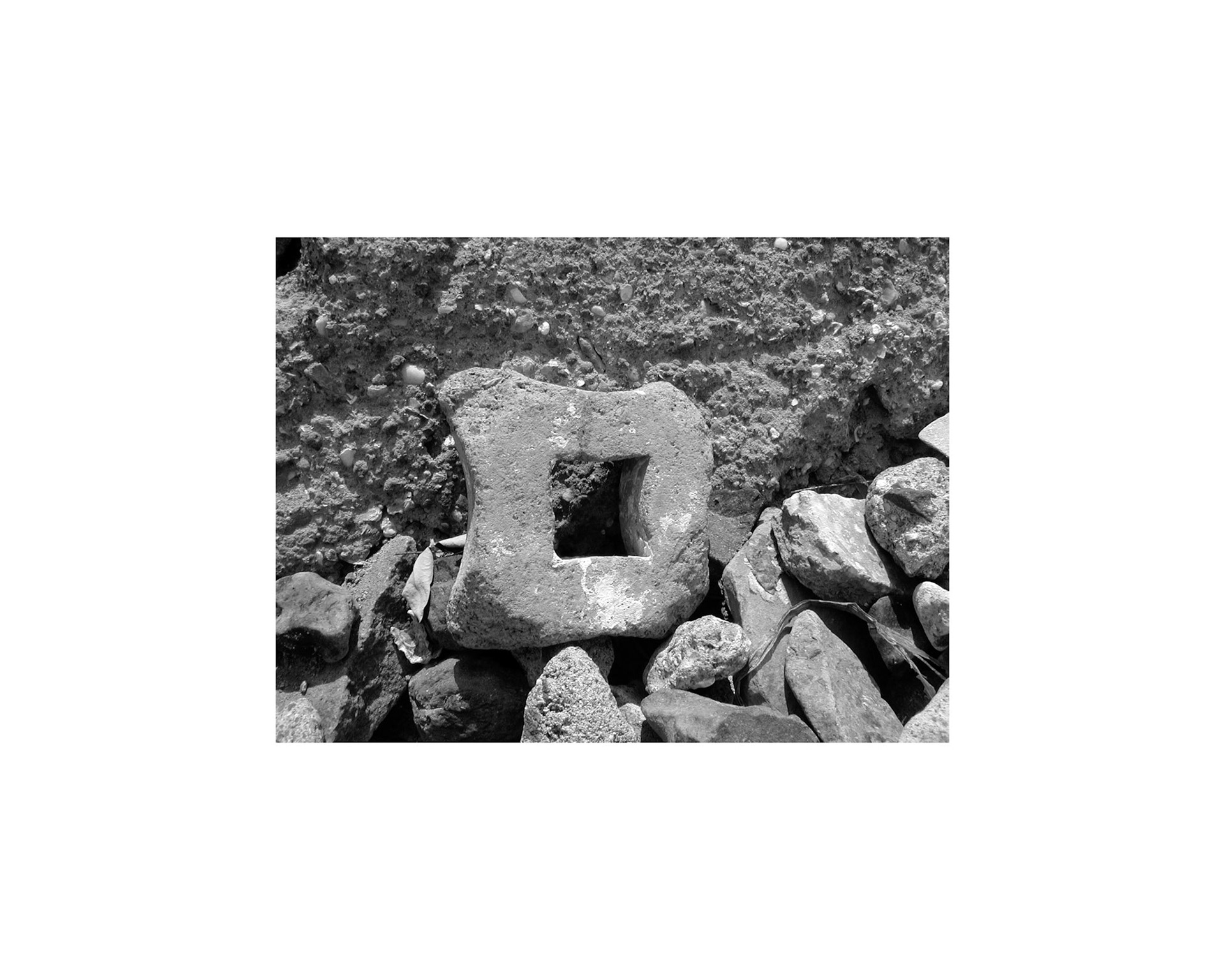 Shapes of Litter