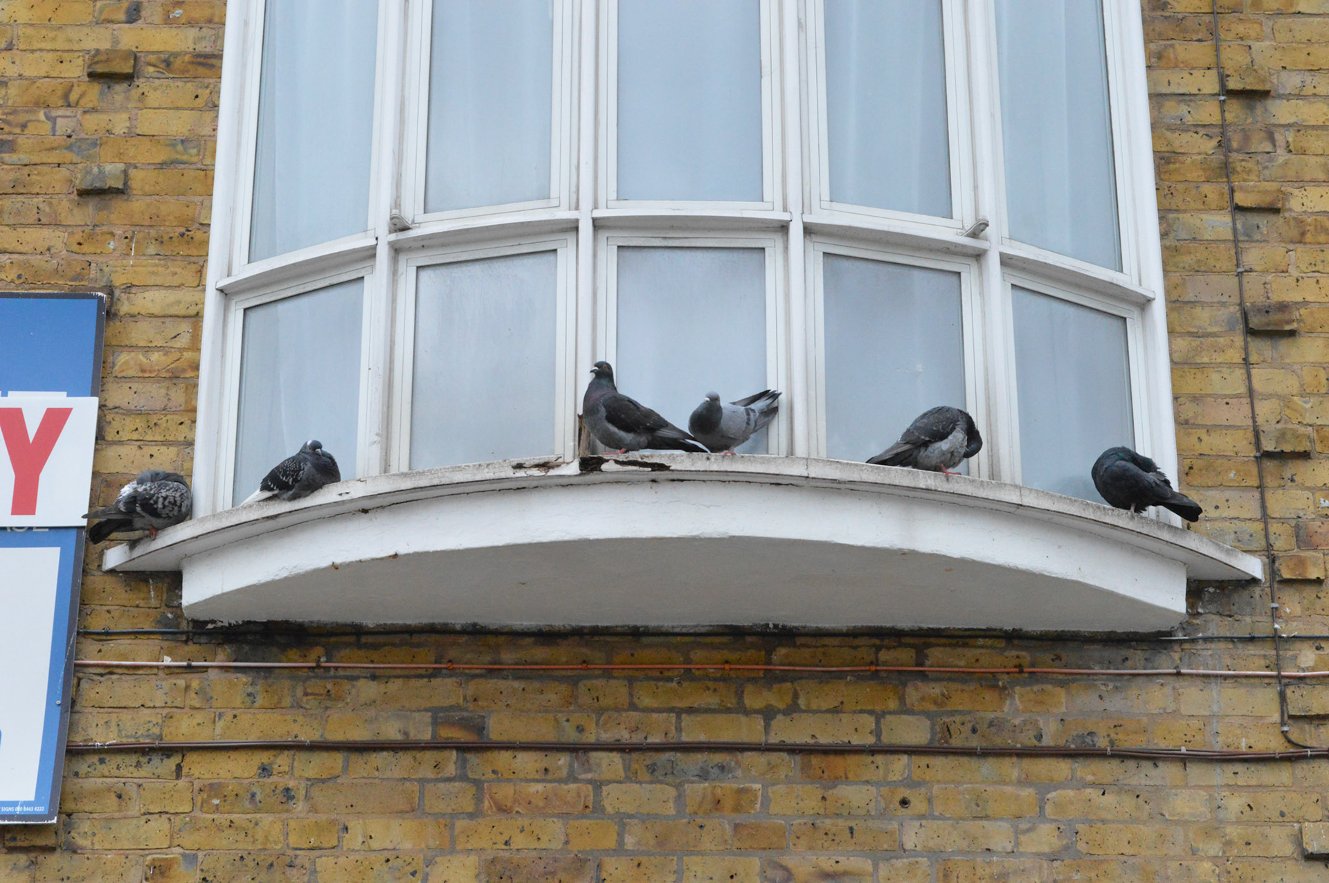 The Lansbury Estate, E14 6AQ Series, 2019