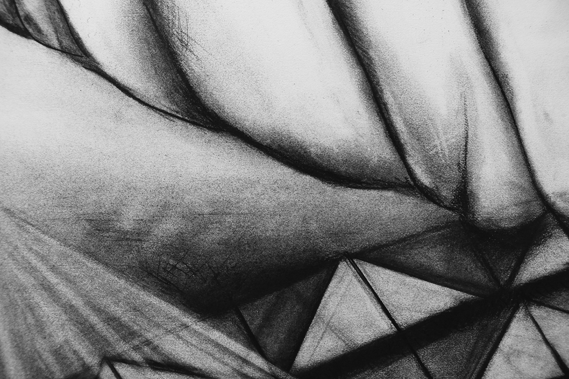 [DETAIL 4] Not Yet But To Be (A Fever Dream), 23”x29”, charcoal on paper, 2021-2022.