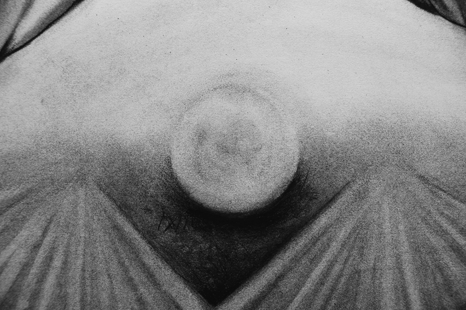 [DETAIL 5] Not Yet But To Be (A Fever Dream), 23”x29”, charcoal on paper, 2021-2022.