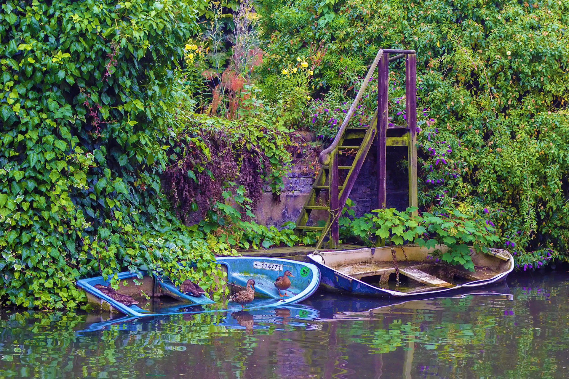 Down By The Riverside