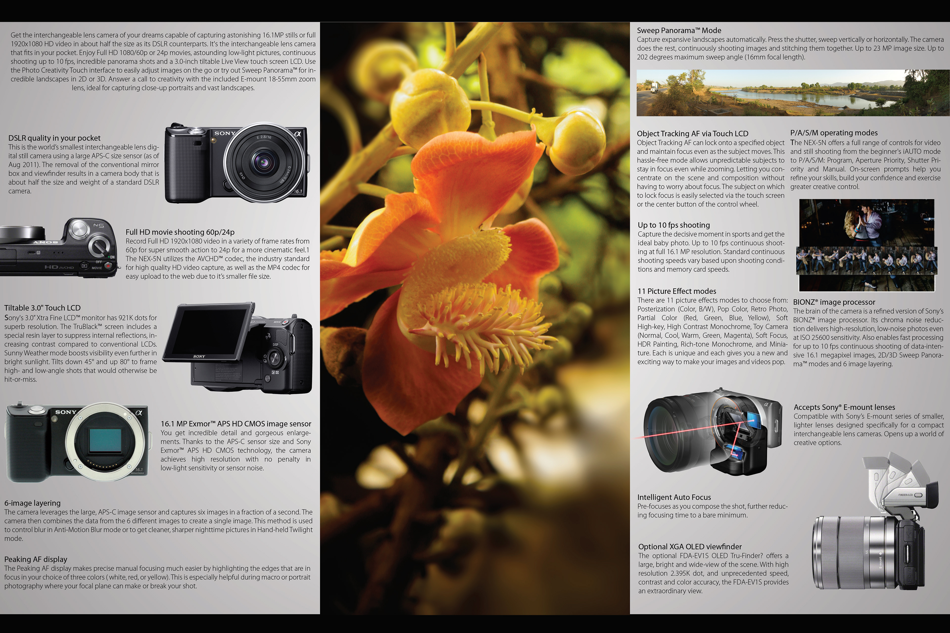 Brochure - Inside