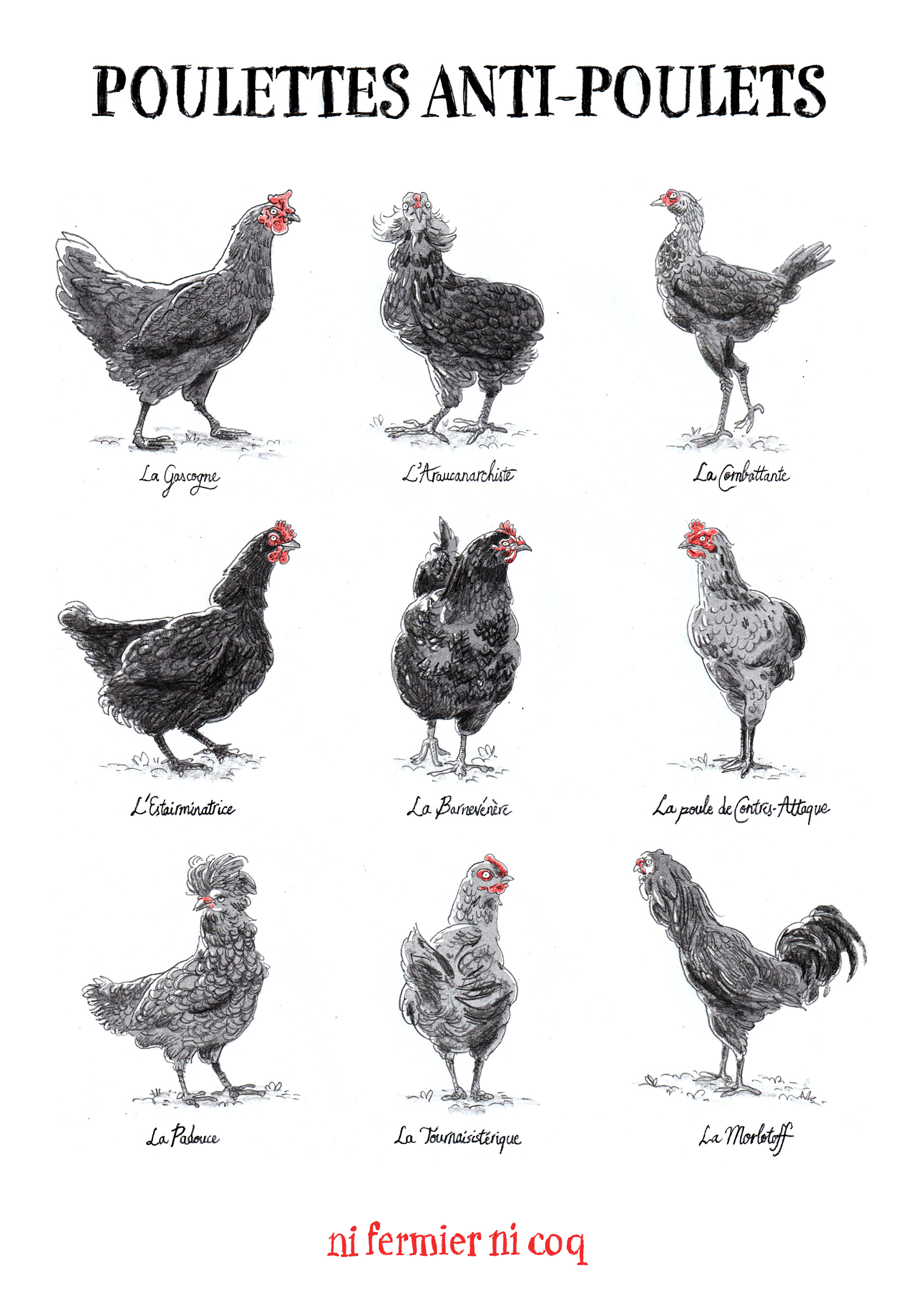 illustration "poulettes" > crayon et photoshop